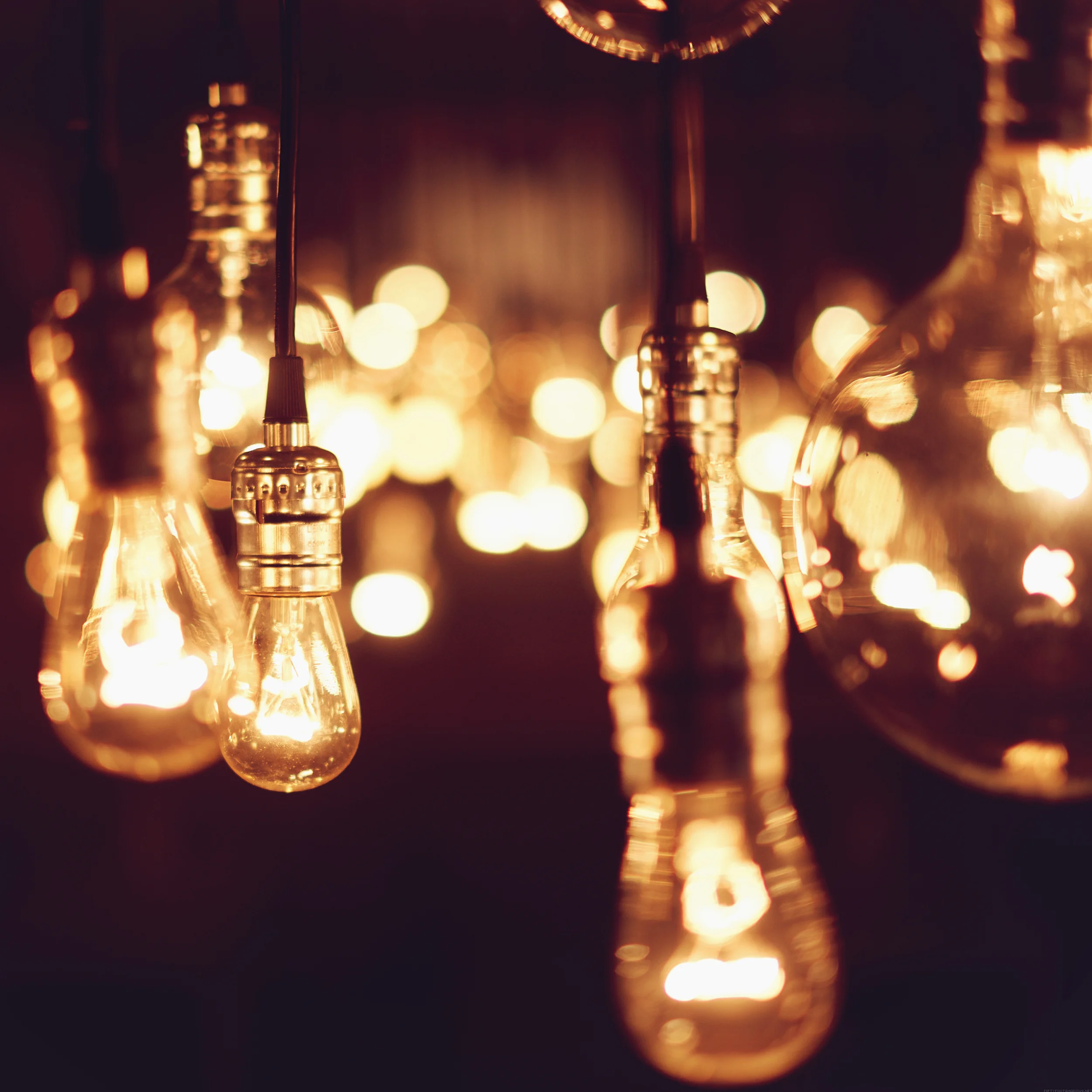 bulbs_ipad_plx.jpg