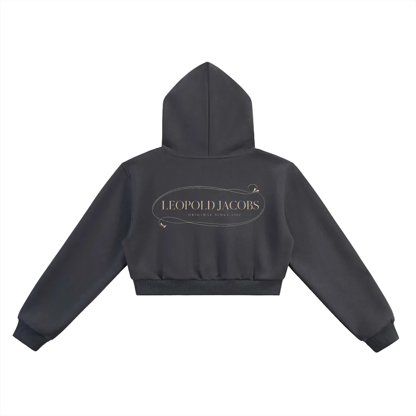 Essential Cropped Hoodie CHAR Back.webp