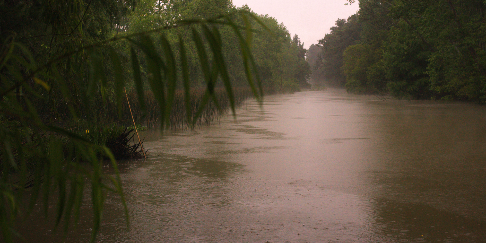 LLUVIA-02-copy.jpg