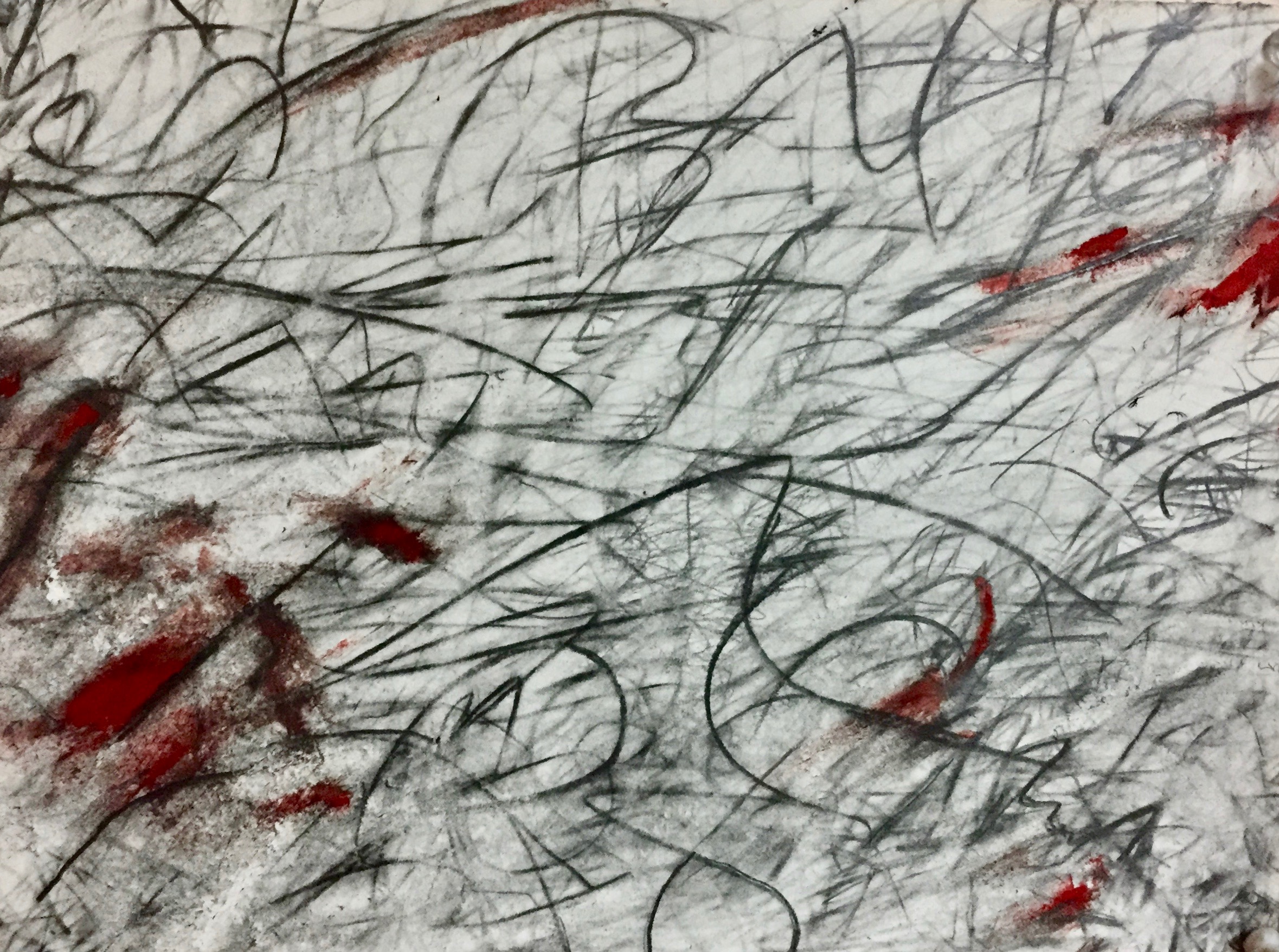 Erasure: Extinction , Graphite, Eraser and Oil Stick on Paper, 9” x 12,” 2019