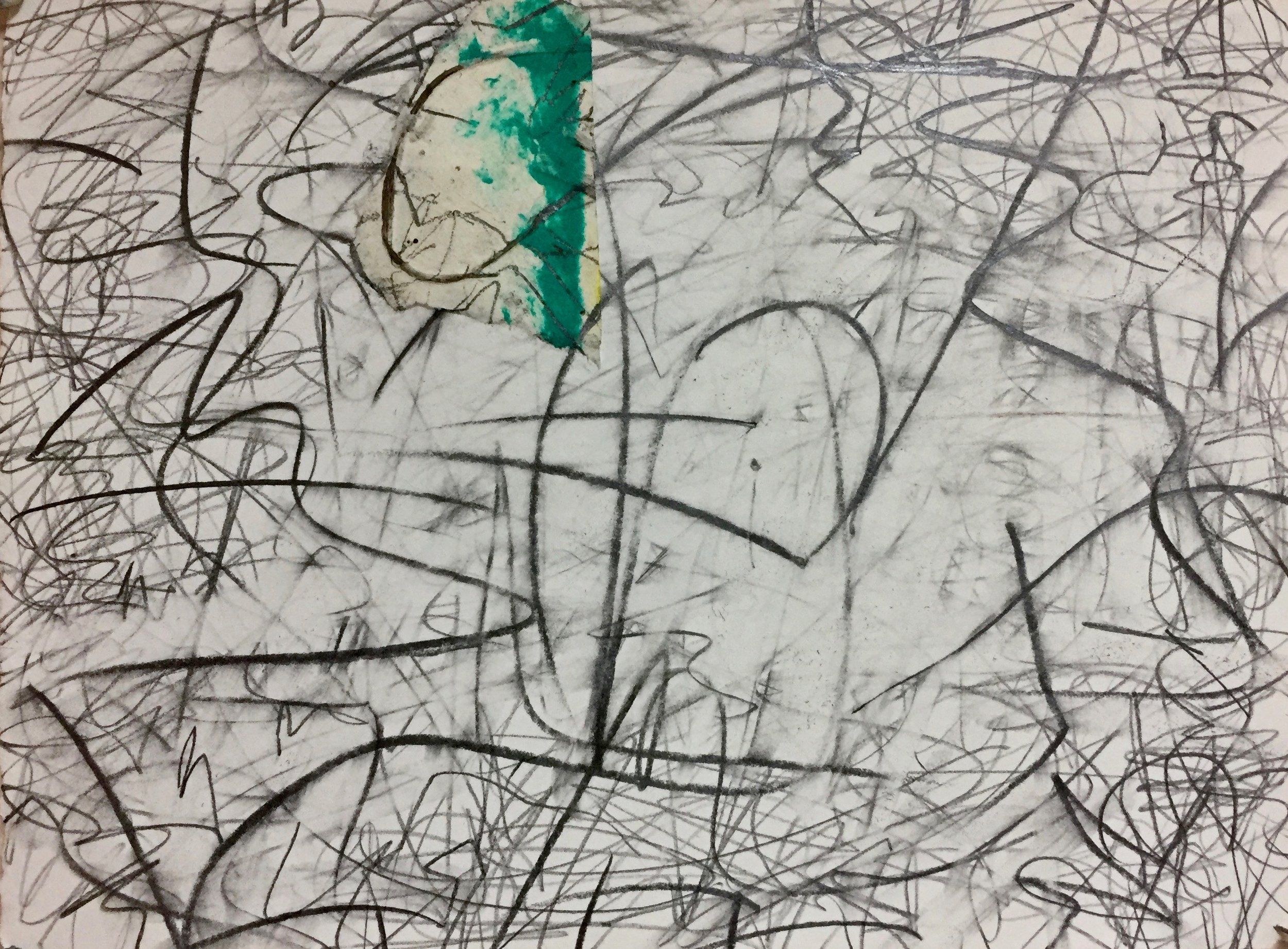 Erasure: Extinction 2 , Graphite, Eraser and Oil Stick on Paper, 9” x 12,” 2019