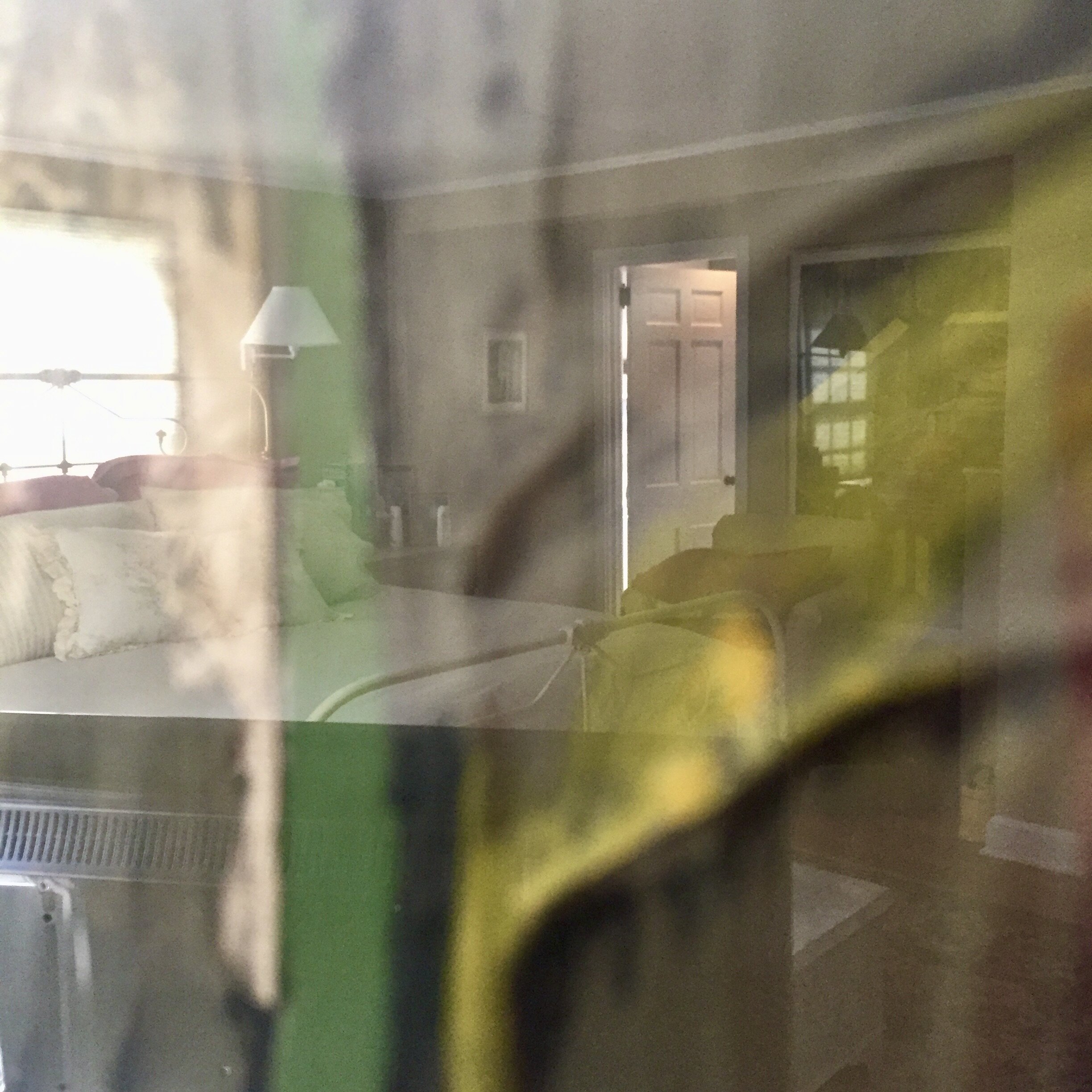 IMG_8045.jpeg