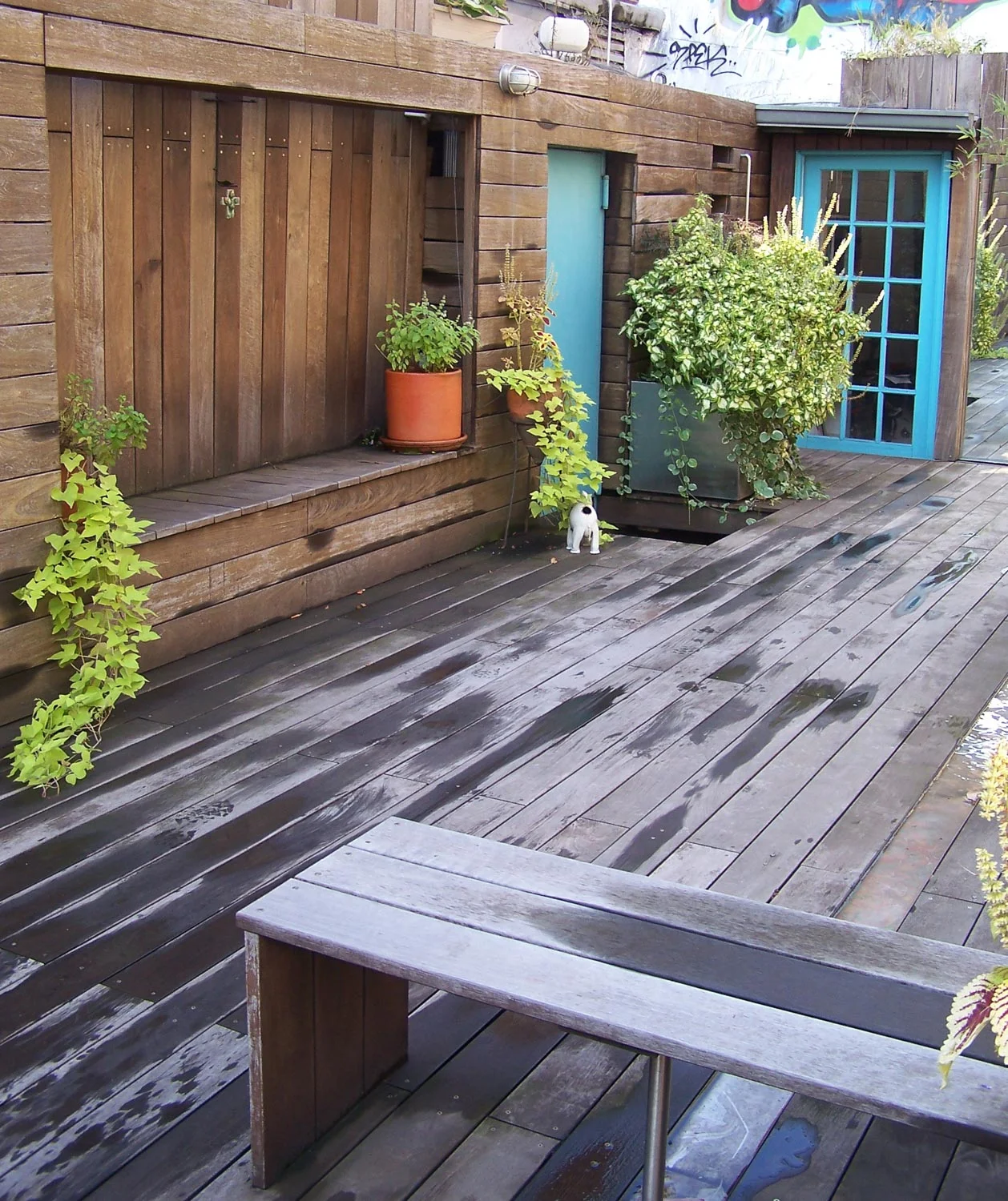 02_Niche_Petroulas Roof Garden by I-Beam_photo by Travis Dubreuil.jpg