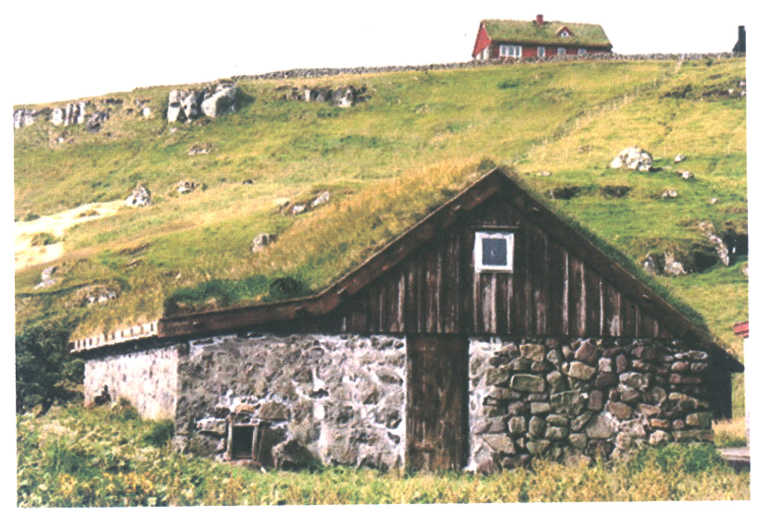 house w grass.jpg