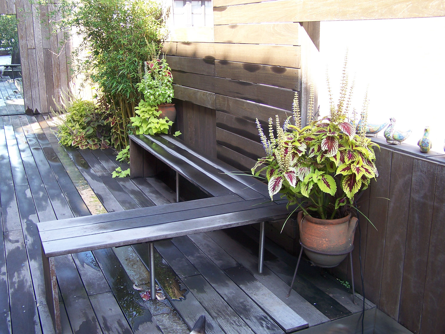 05_bench_Petroulas Roof Garden by I-Beam_photo by Travis Dubreuil.jpg