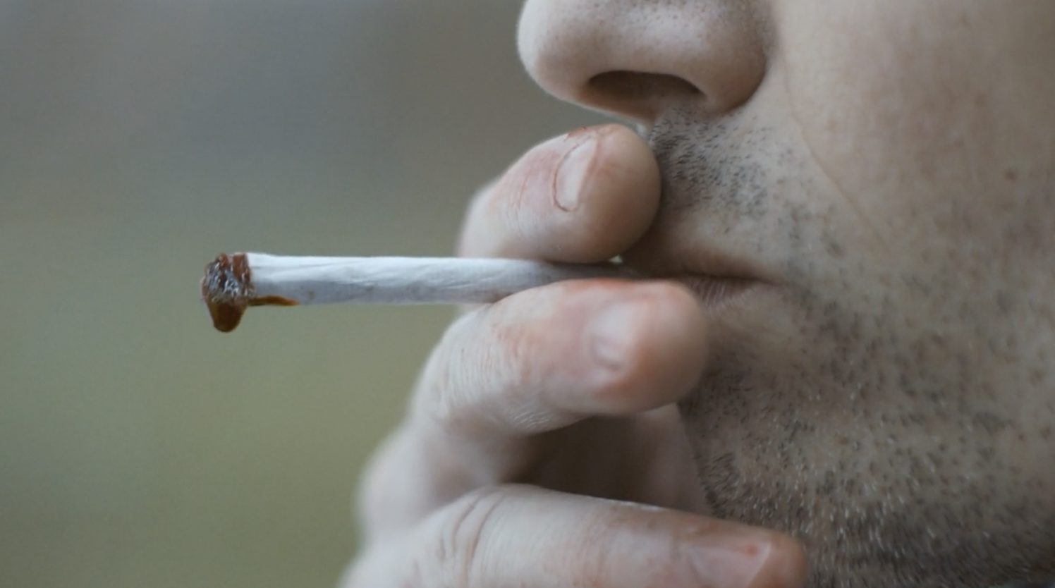 Screenshot 2026-03-27 at 09.07.44.png