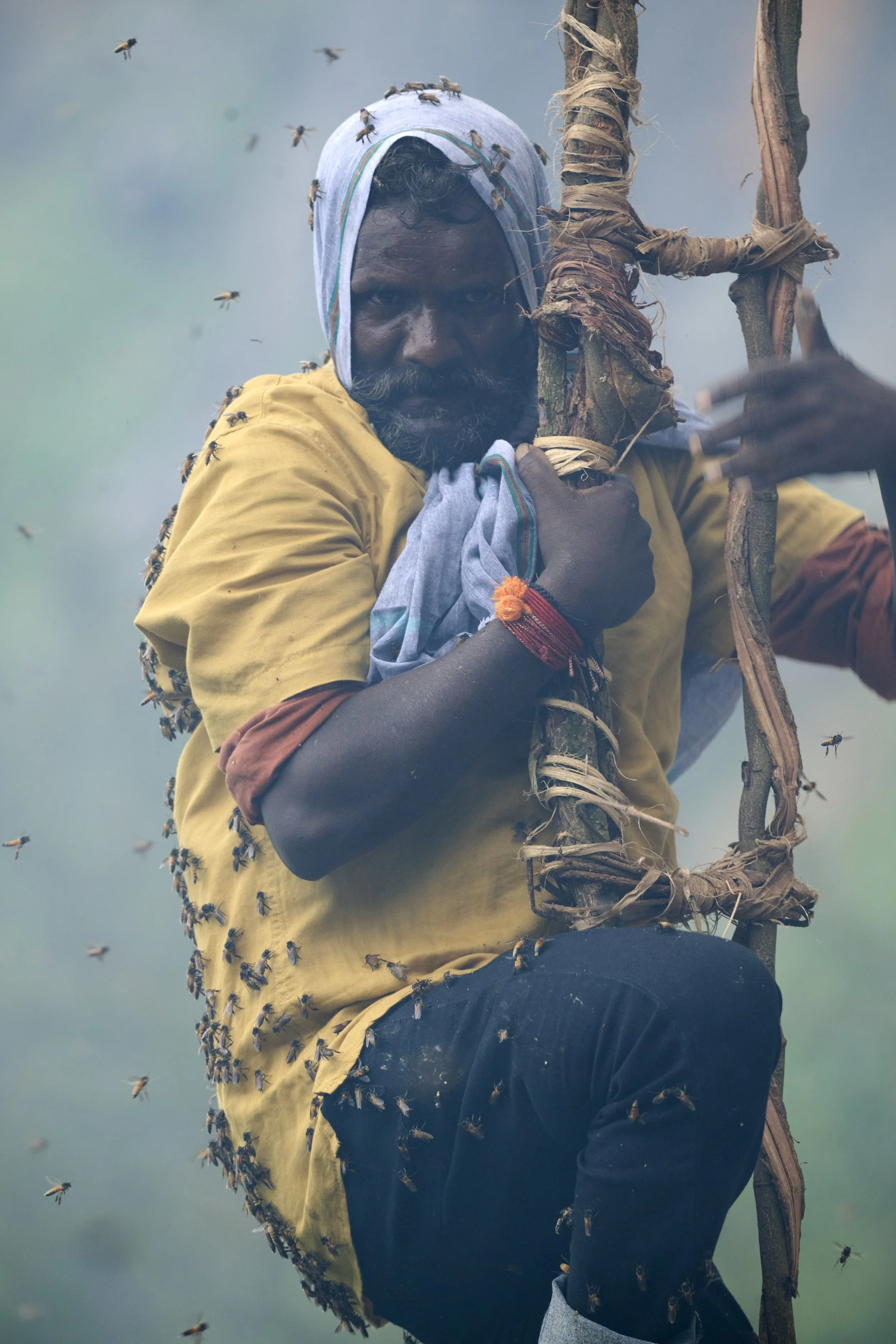 260602_Defender_honey_hunters_02_1405.jpg