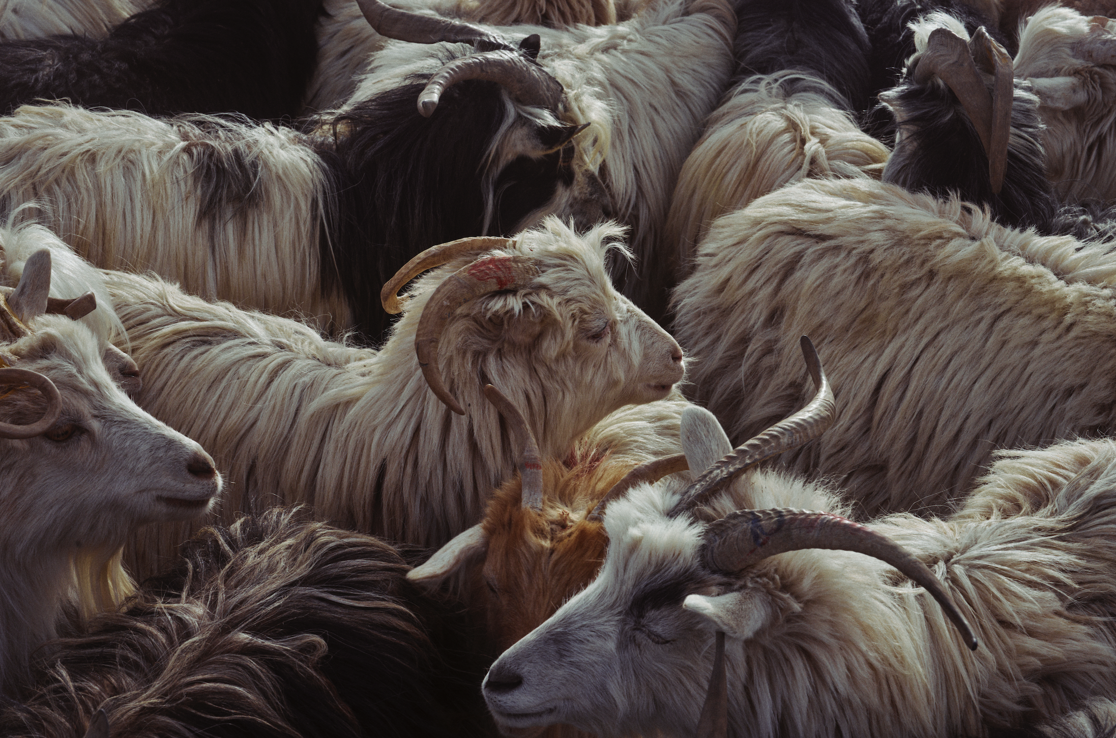 Screenshot 2026-04-30 at 13.58.08.png
