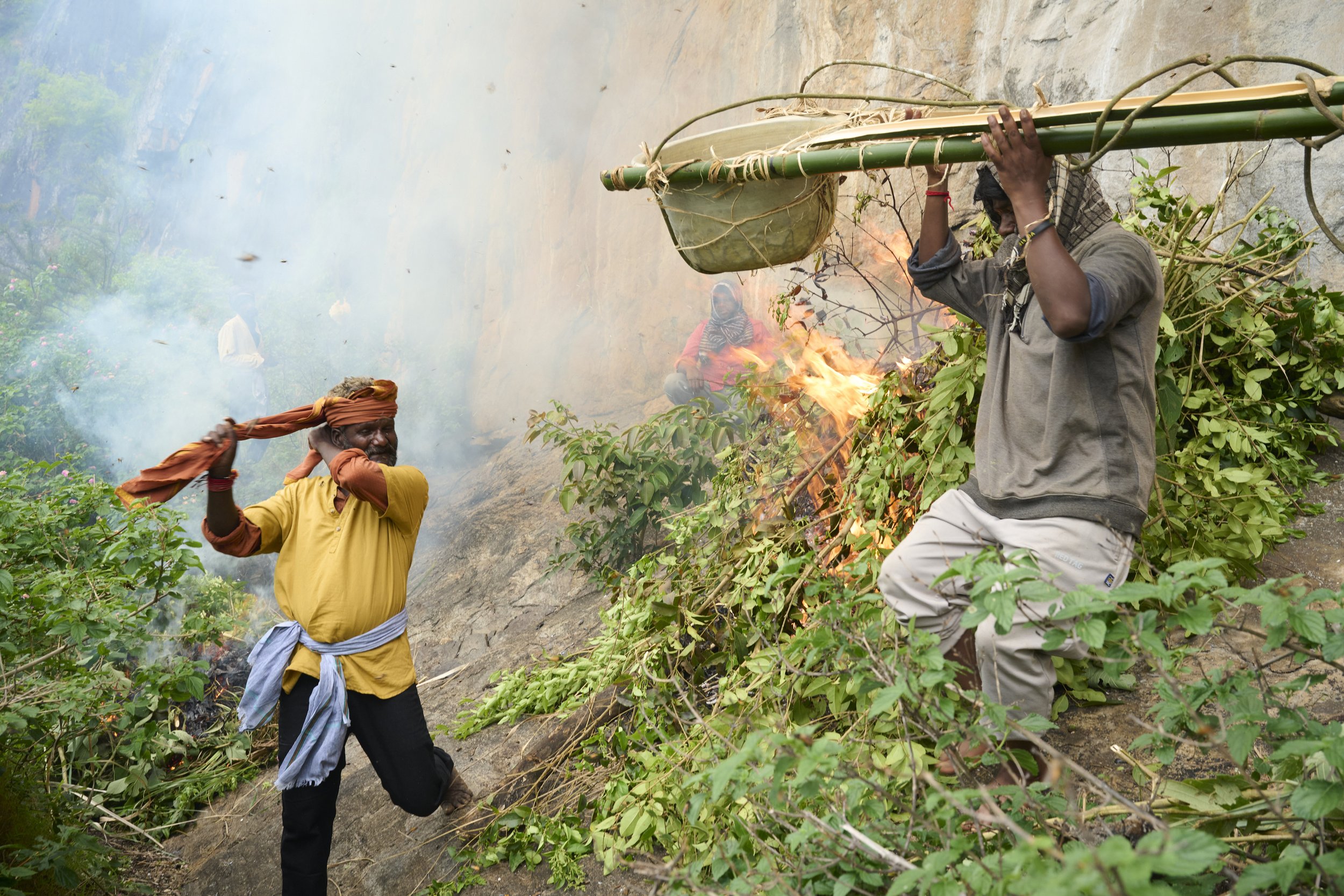 260602_Defender_honey_hunters_03_1833.jpg