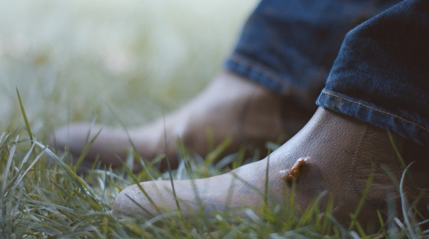 Screenshot 2026-03-27 at 09.07.29.png