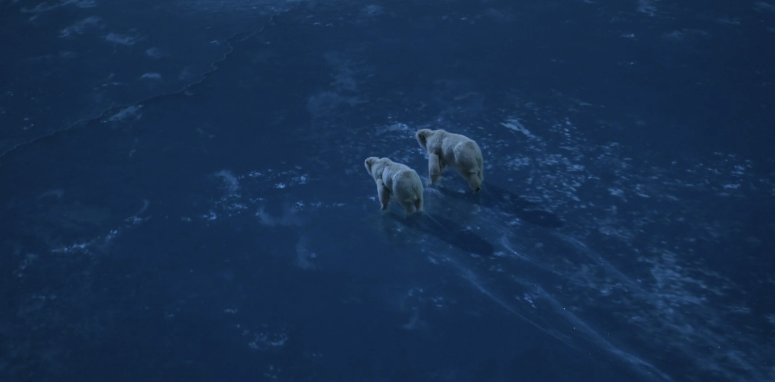 Screenshot 2026-03-26 at 09.56.38.png