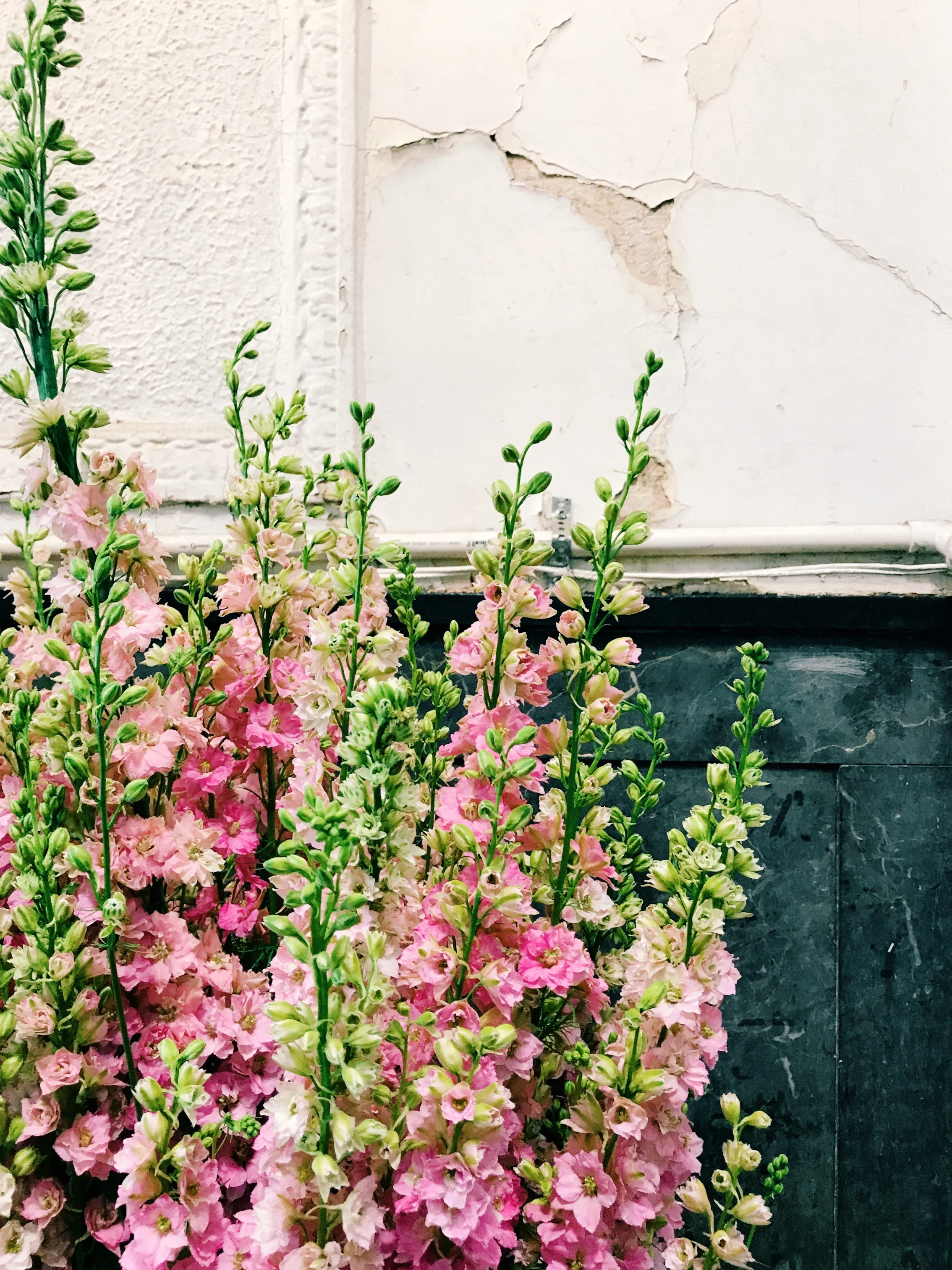 File Nov 17, 9 47 14 PM.jpeg