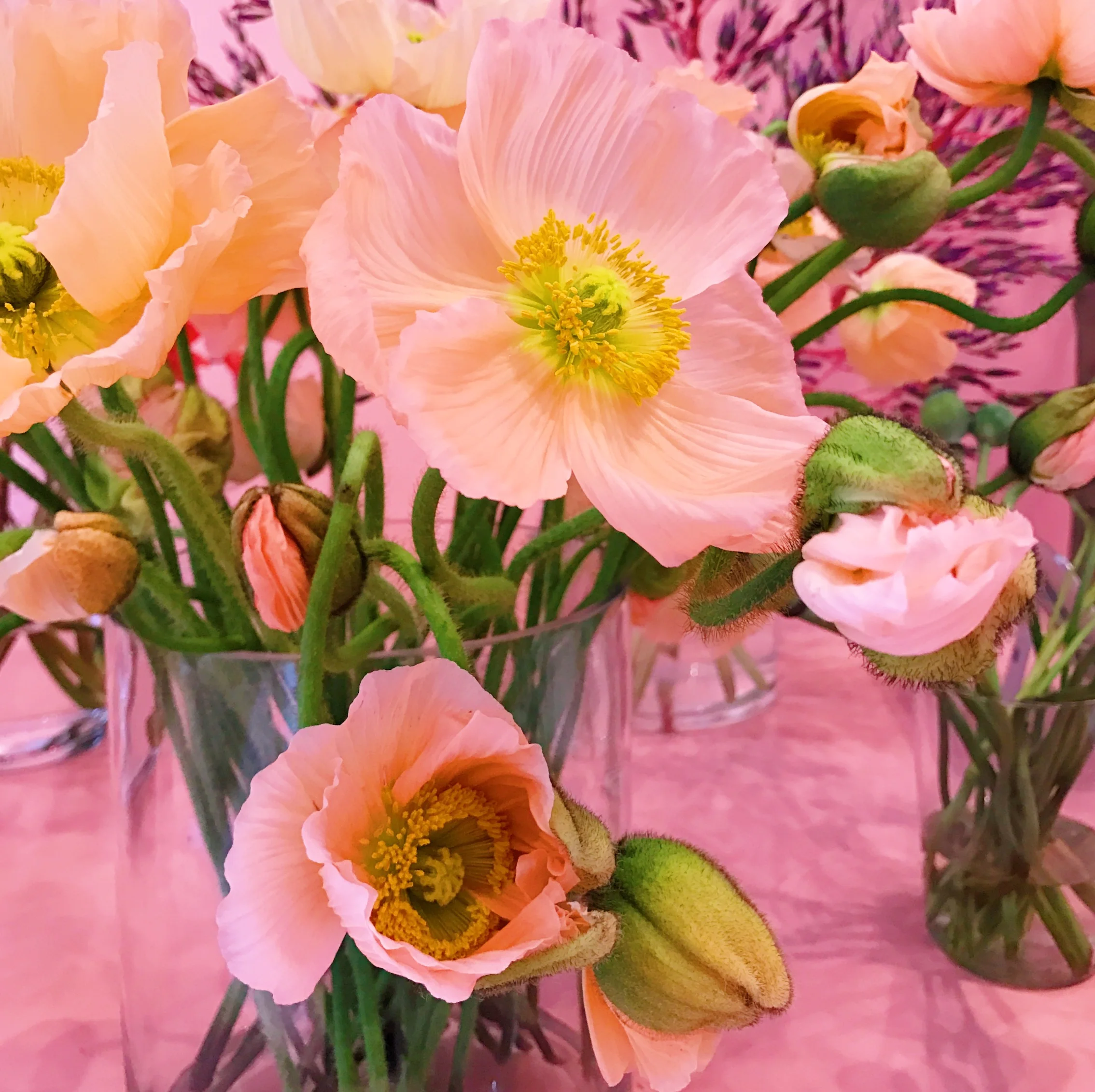 File Nov 17, 9 50 39 PM.jpeg