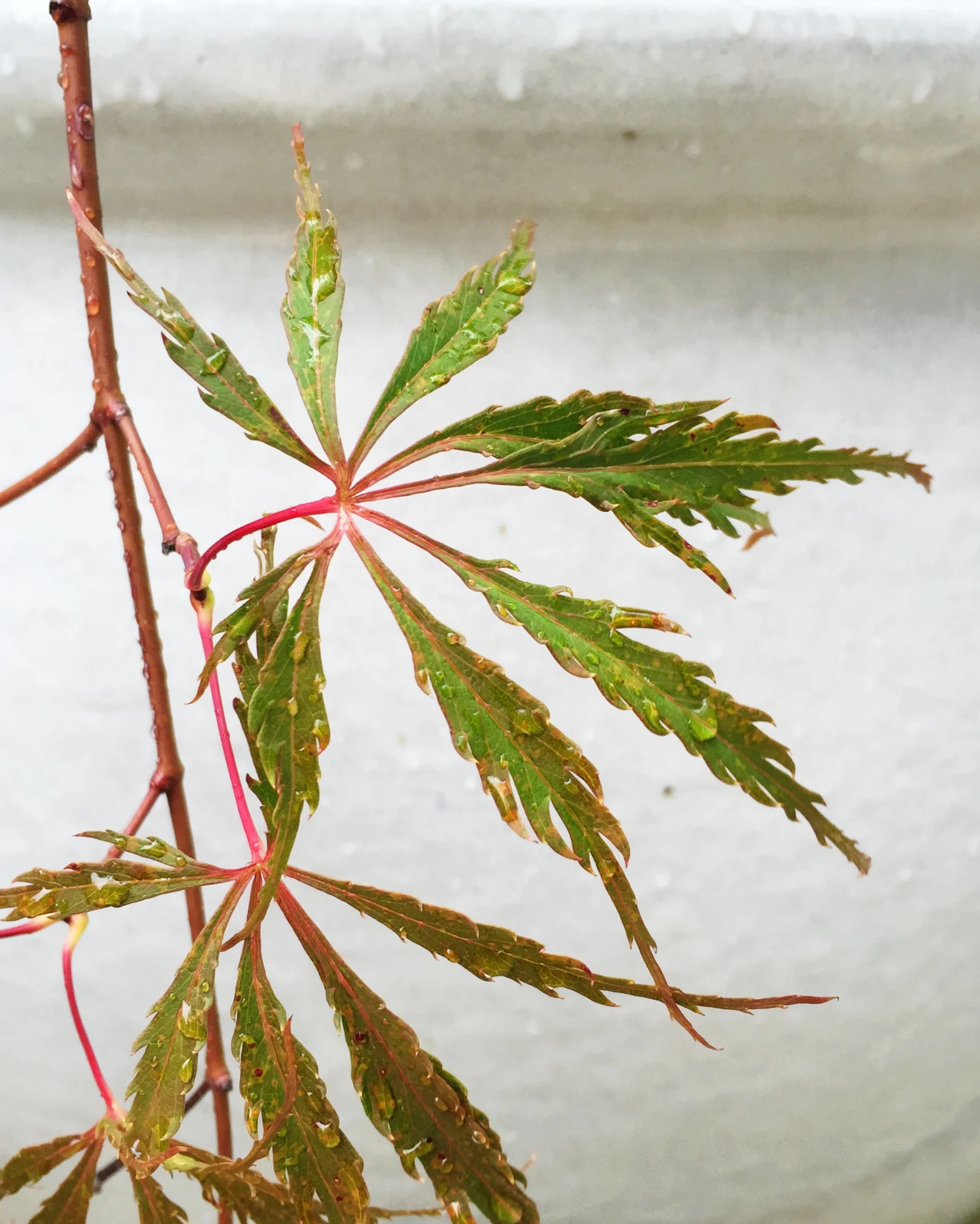 File Nov 17, 10 10 54 PM.jpeg