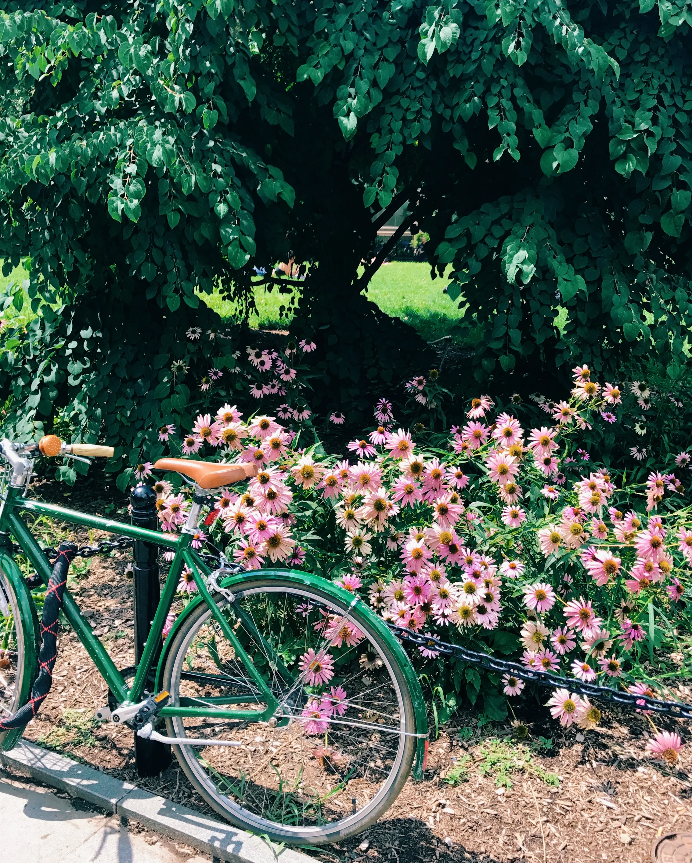 File Nov 17, 9 45 57 PM.jpeg