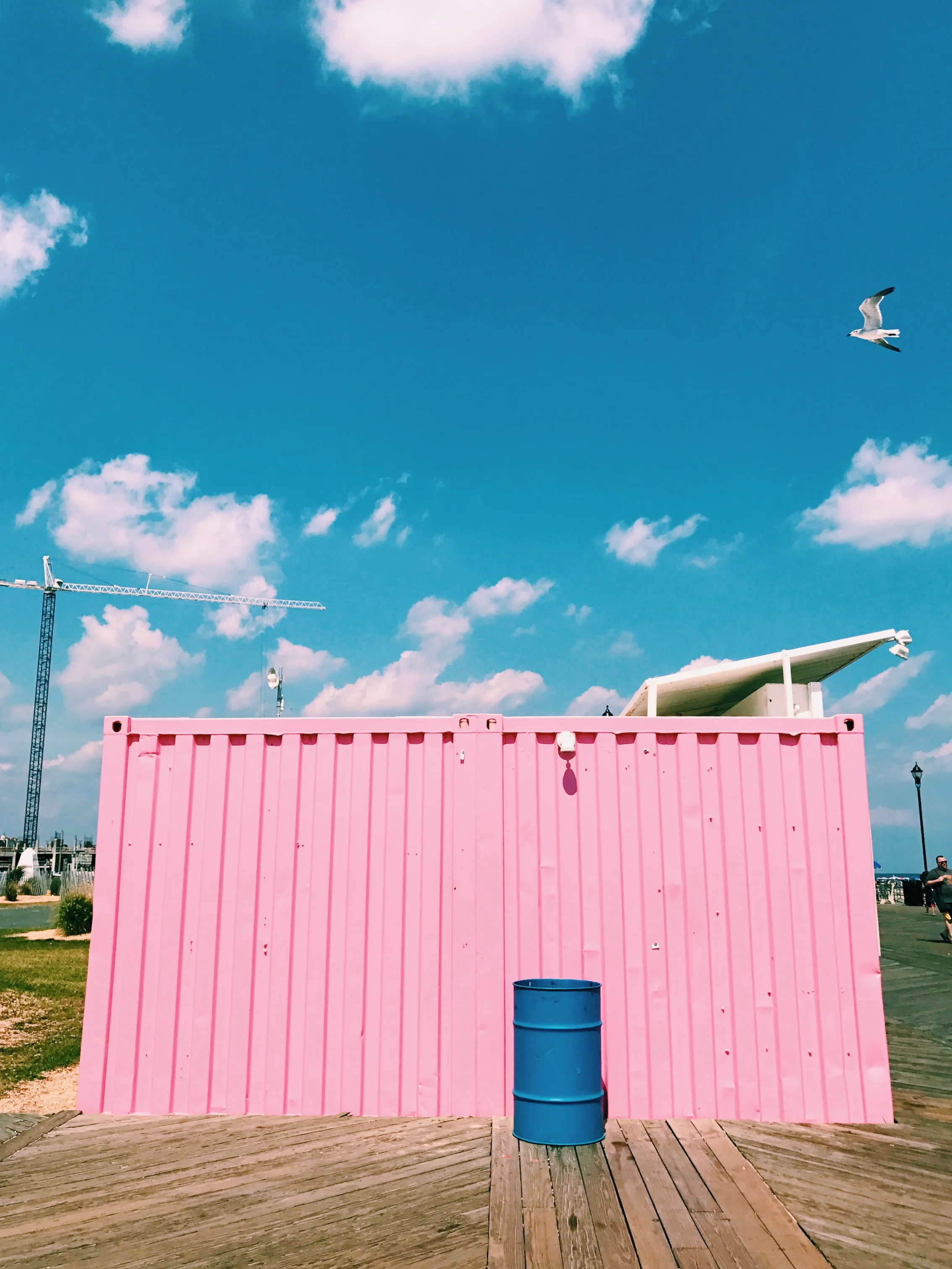 File Nov 17, 9 44 15 PM.jpeg