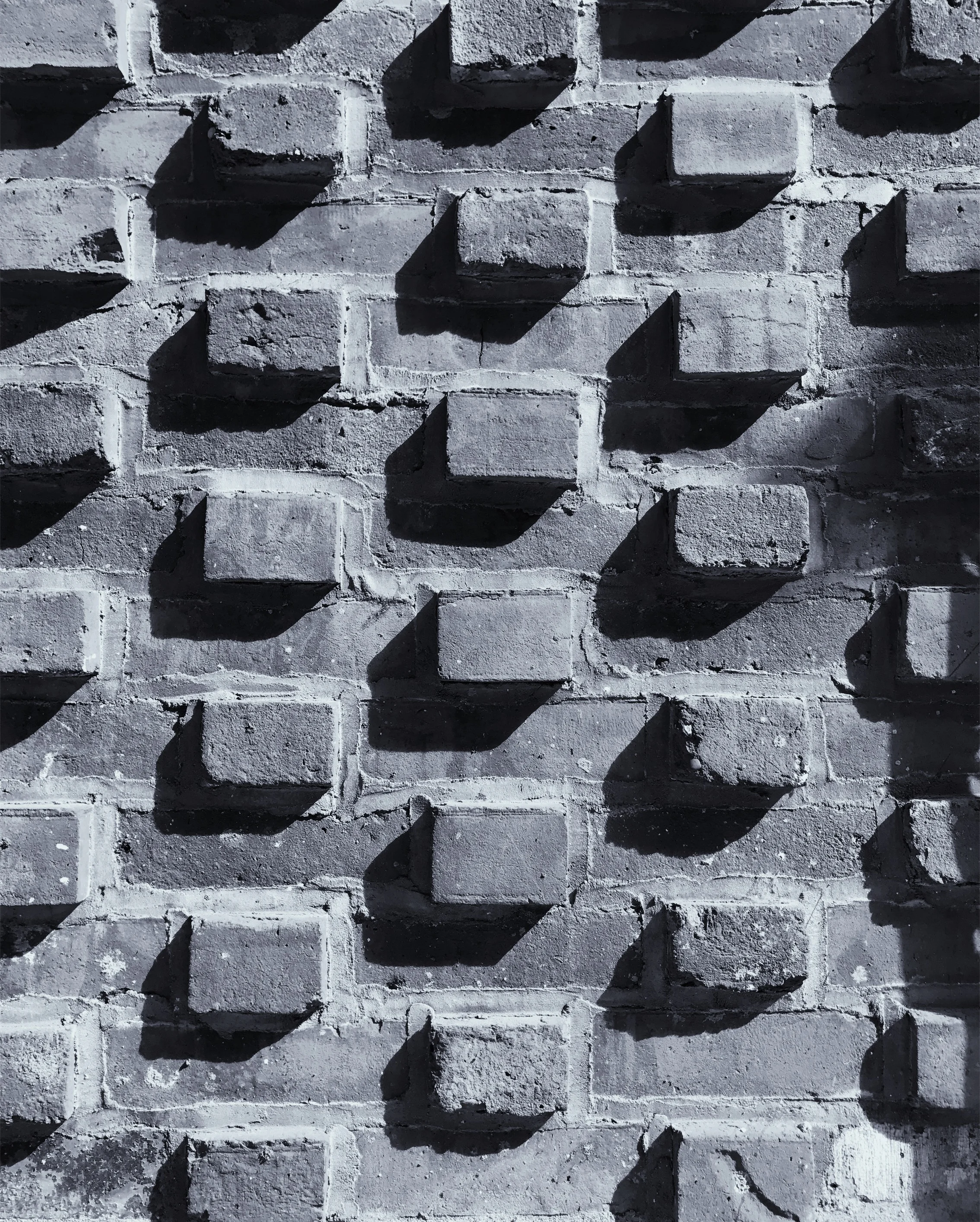 File Nov 17, 9 46 49 PM.jpeg