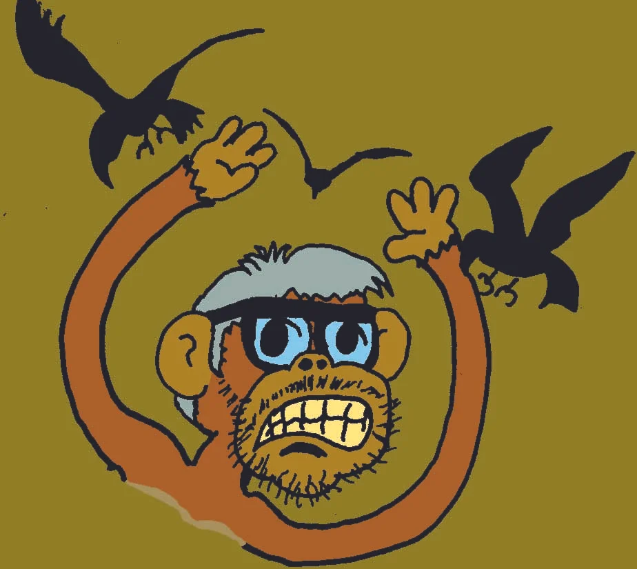 monkeybirds.jpg