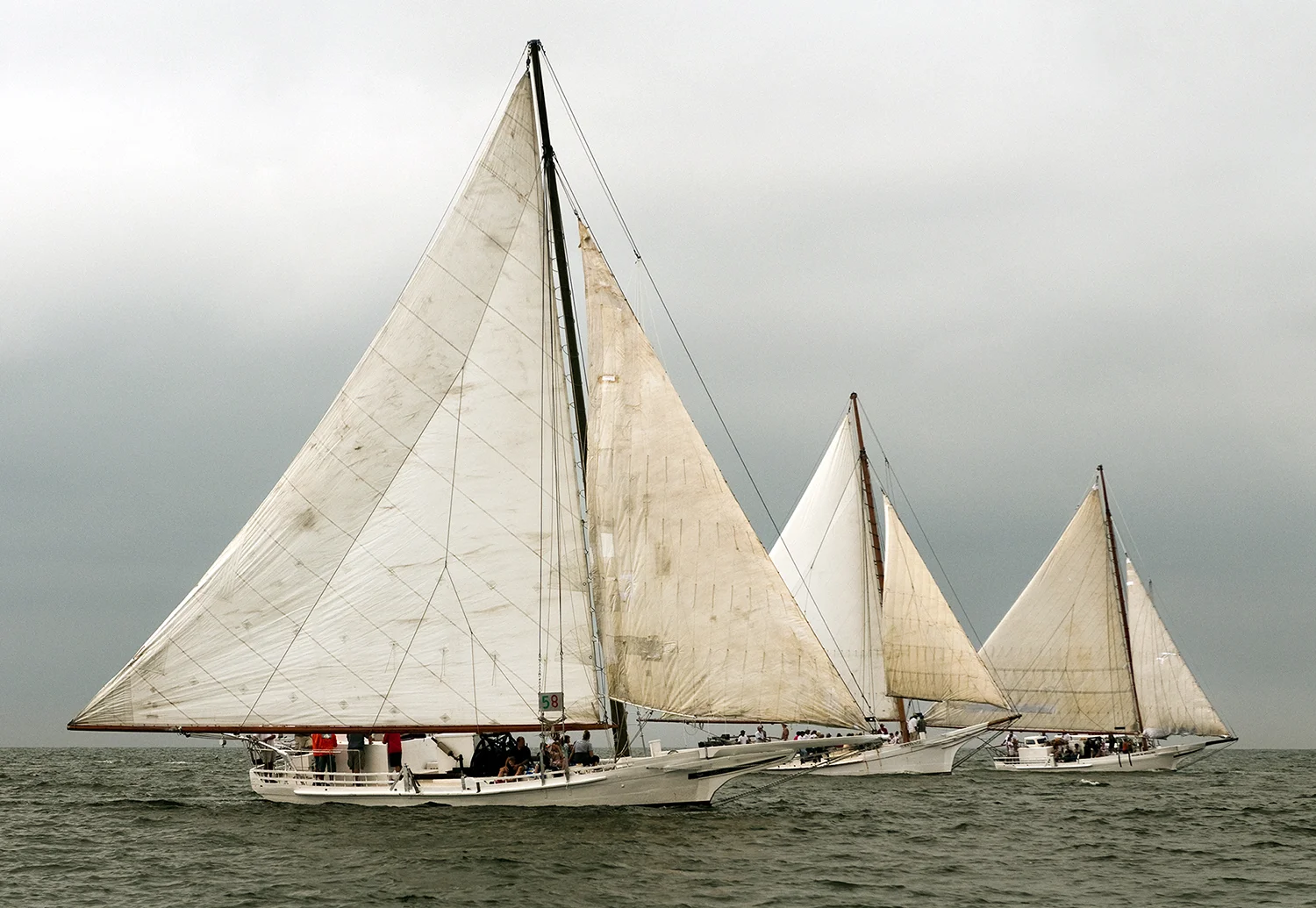 Skipjack Oysters.jpg