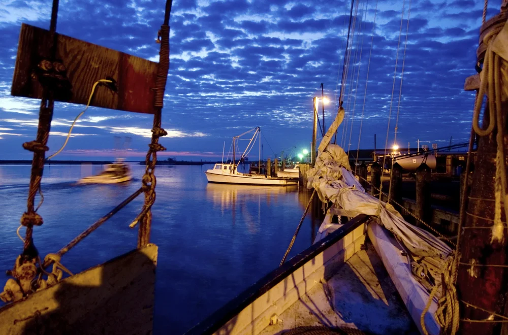 Chesapeake+Bay+Seafood+Industry+Portfolio©+Jay+Fleming013.jpg