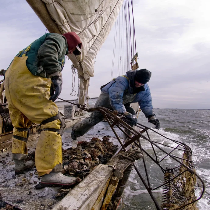 Chesapeake+Bay+Seafood+Industry+Portfolio©+Jay+Fleming012.jpg