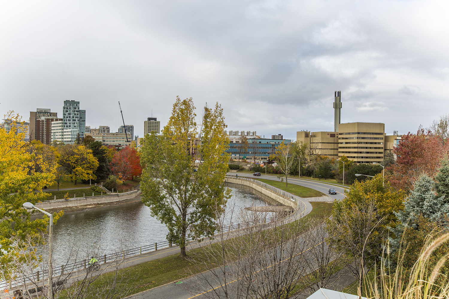 _MG_7671.jpg