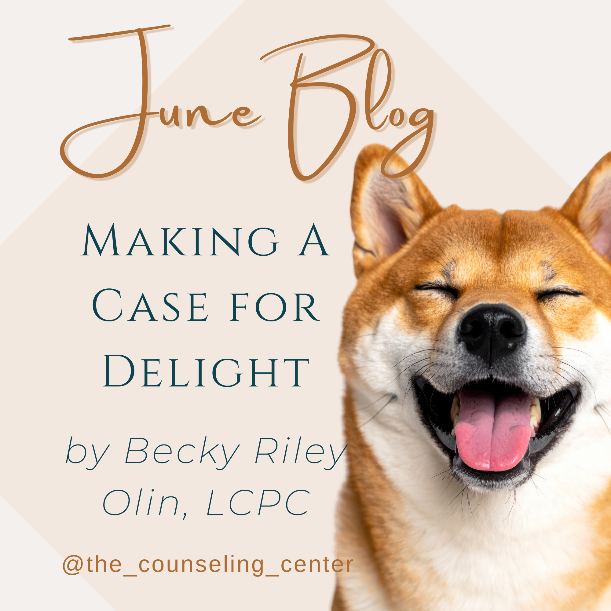 Making a Case for Delight