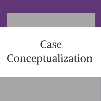 Case Conceptualization
