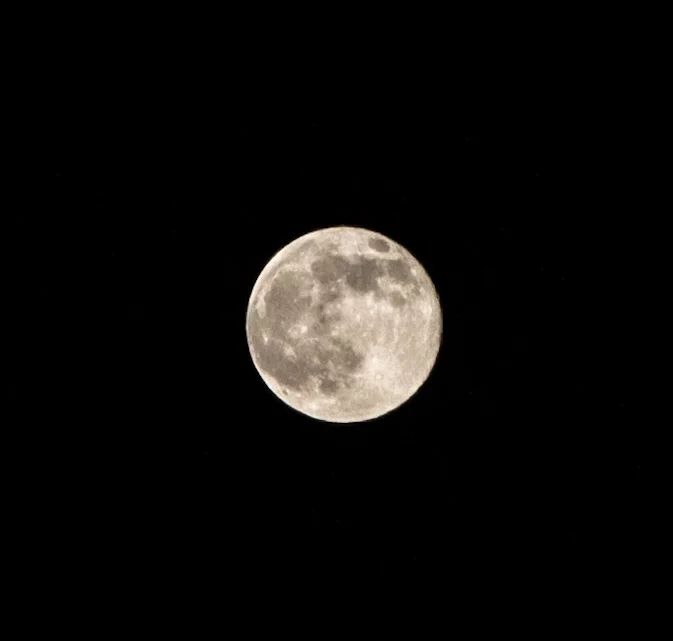 IMG_1643.jpg