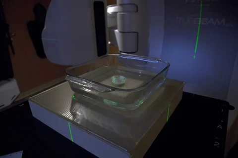 My daisy seeds immediately before irradiation by this machine, which is normally used for cancer treatment.
