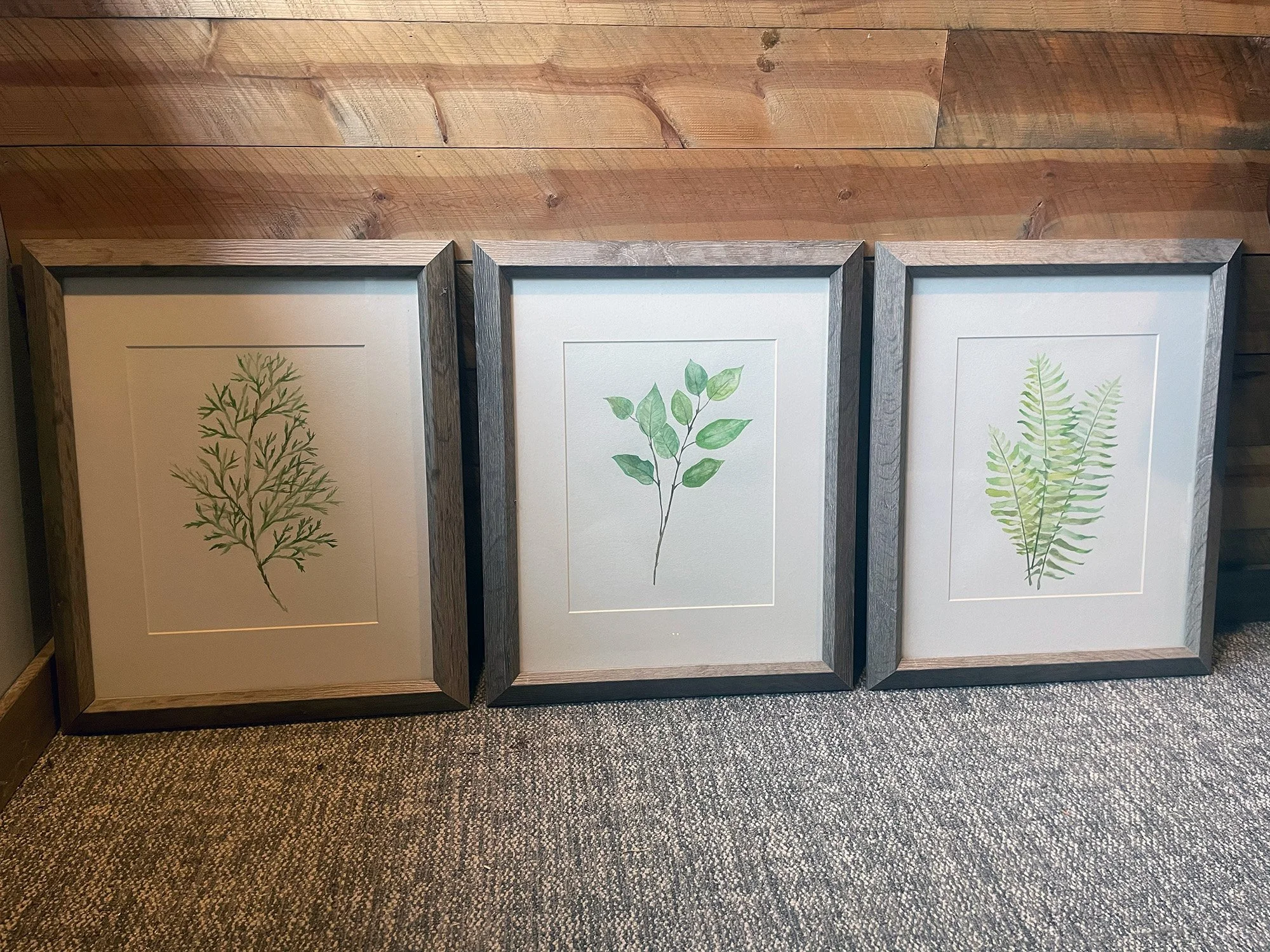 Watercolor Plants.jpg