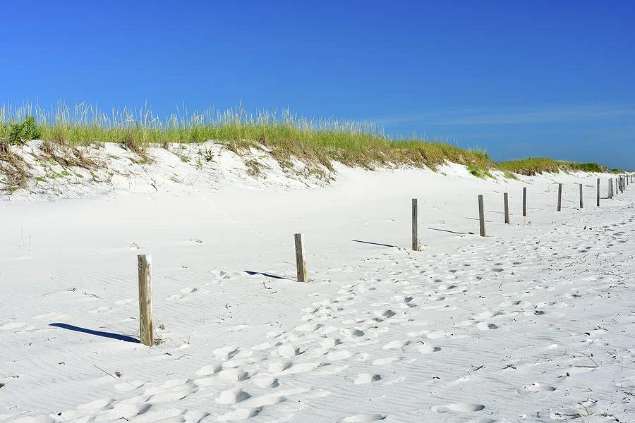beach-sand-dunes-aimin-tang.jpg