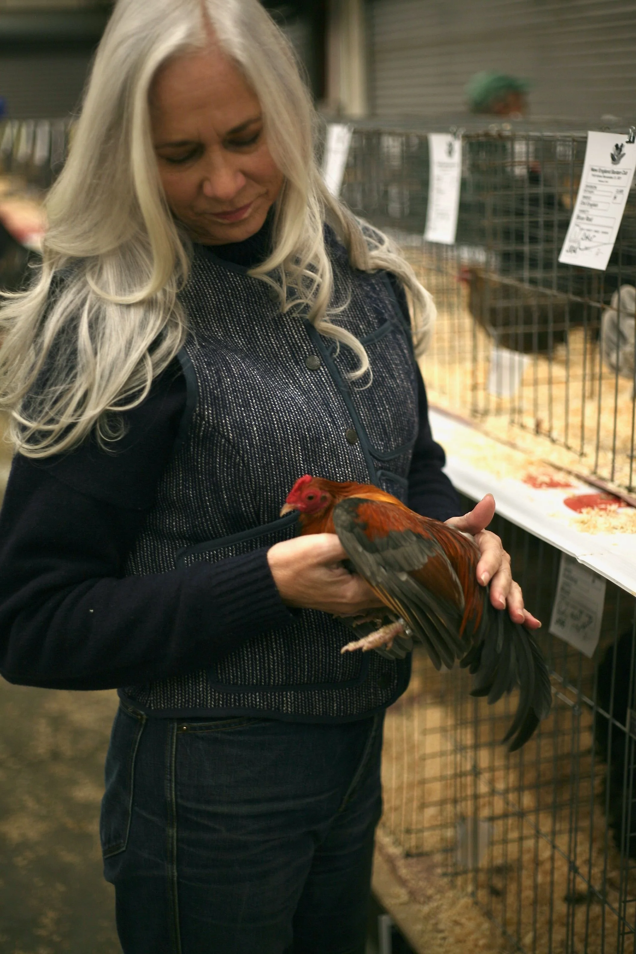 judith bantam 1.jpeg