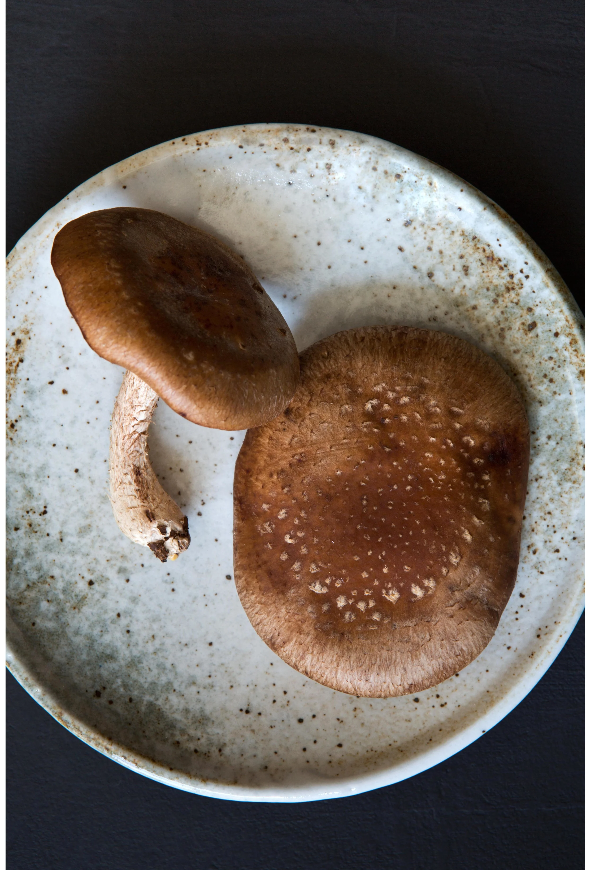 Sarah_Elliott_Photography_75 copy.jpg