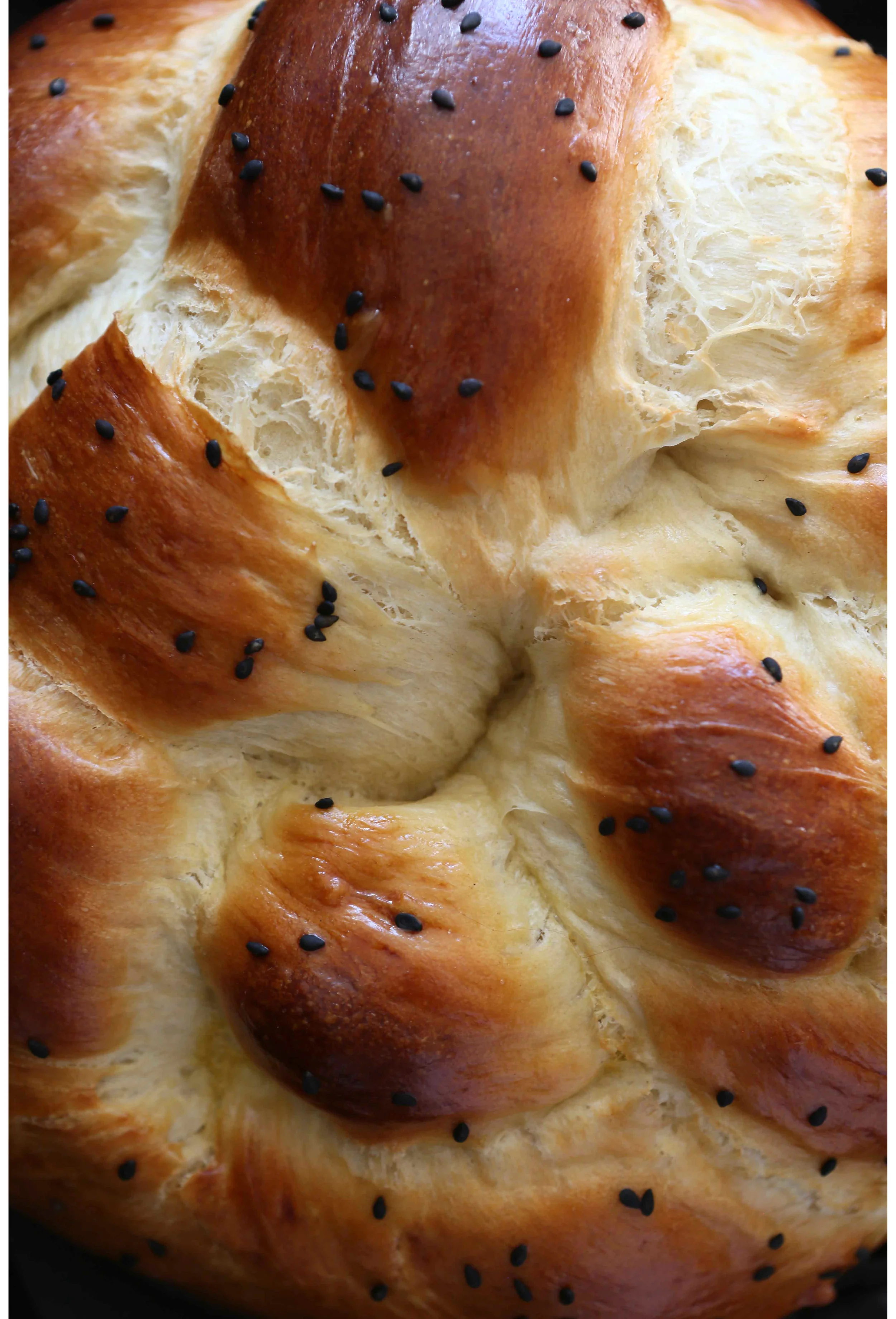 Sarah Elliott Photography 111.jpg