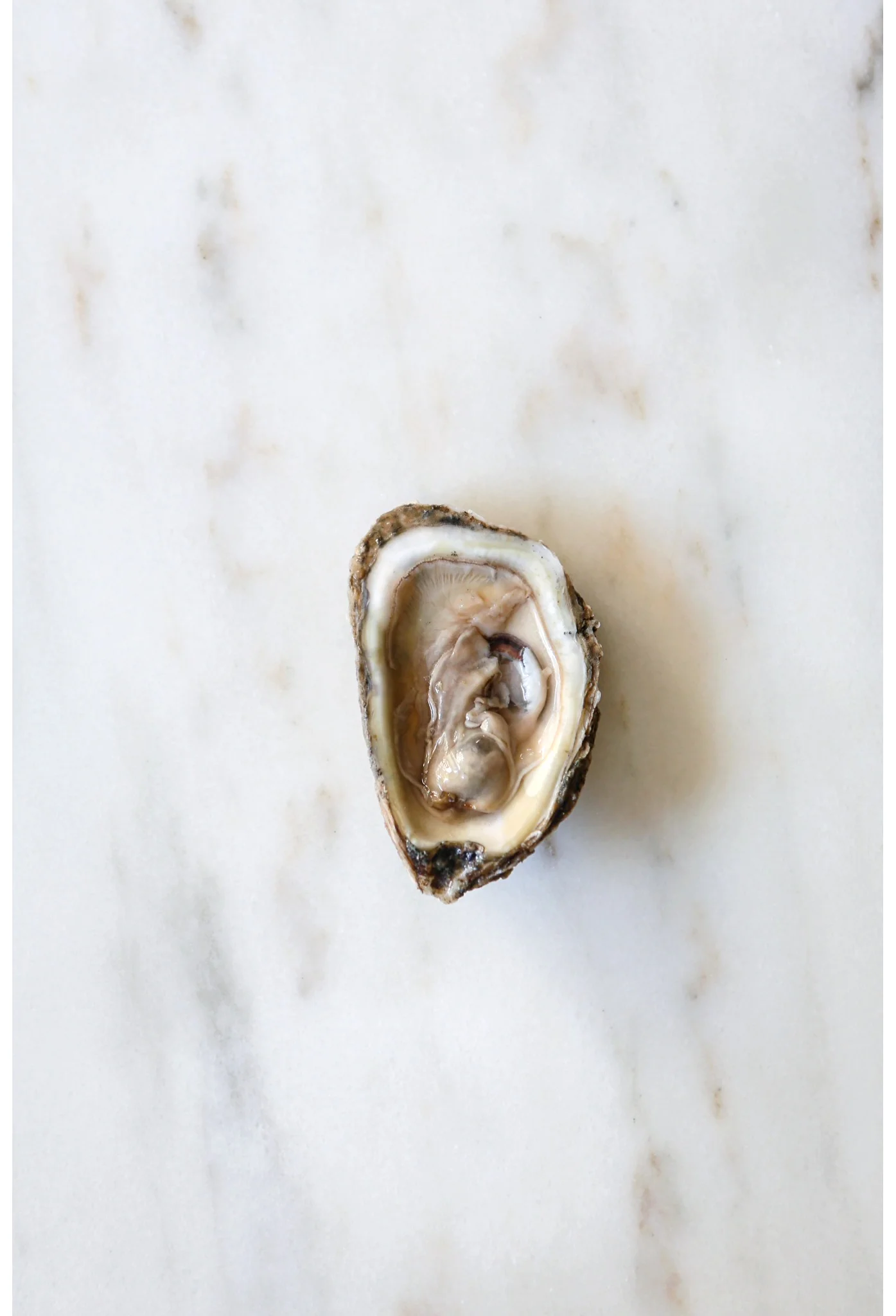 Sarah Elliott Photography 112.jpg