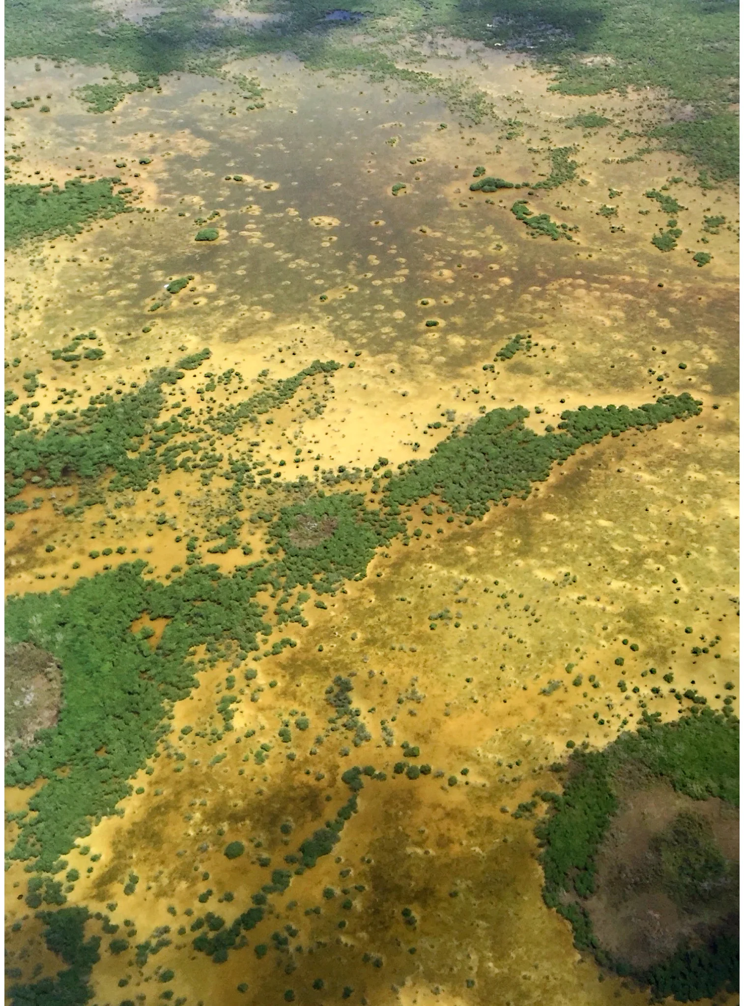 Sarah Elliott Photography Travel Mexico 1.jpg