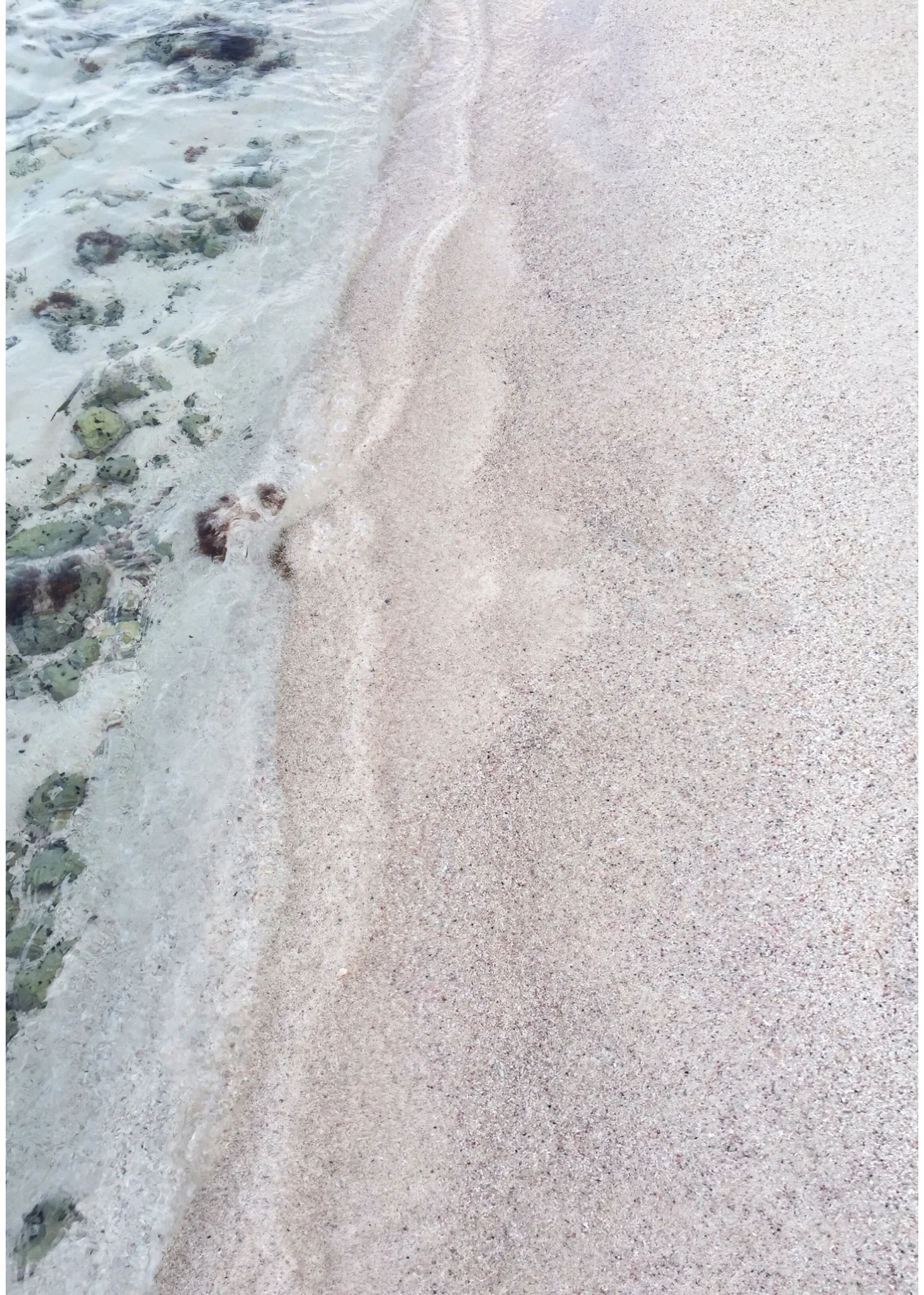 Sarah Elliott Photography Travel Mexico 4.jpg