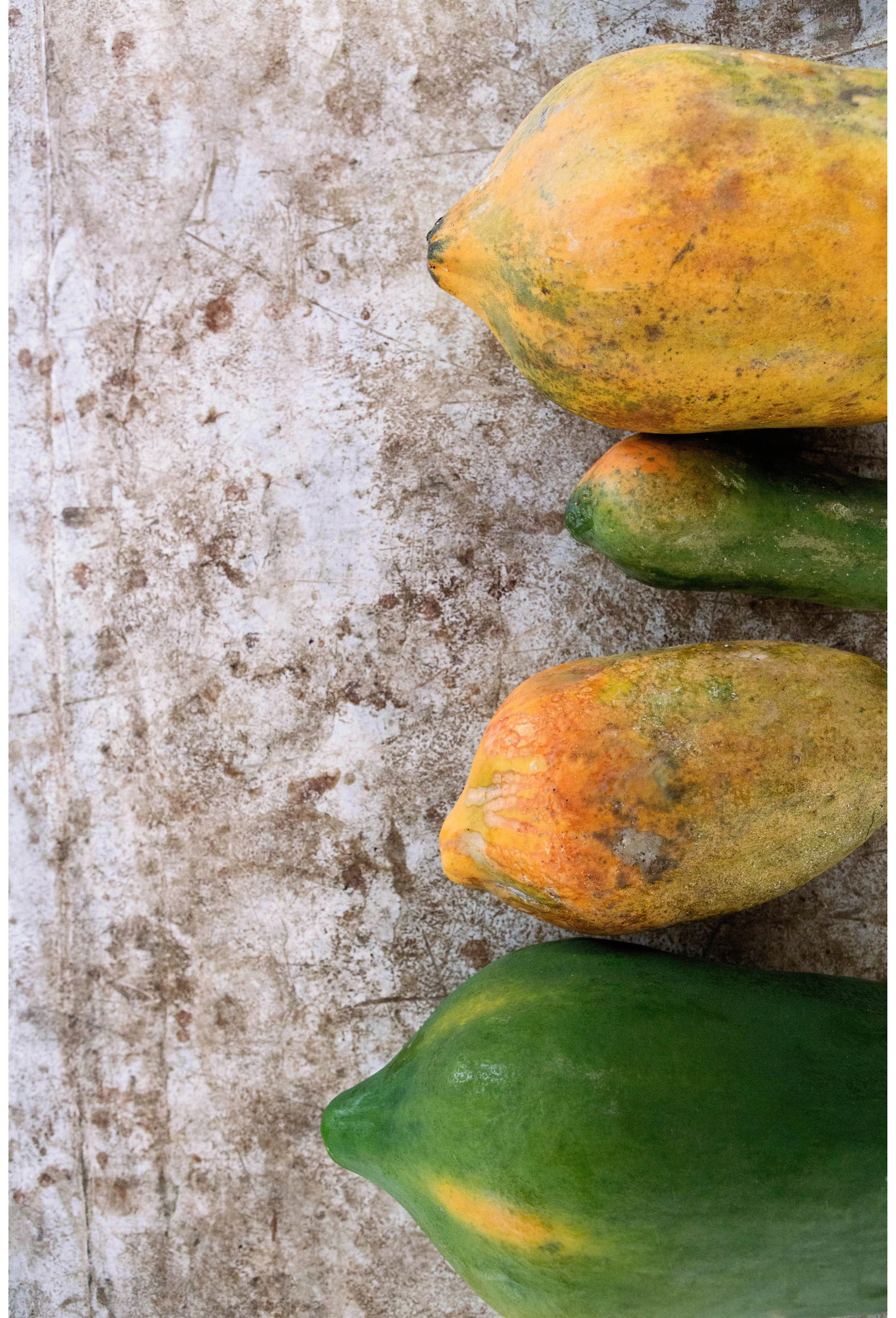 Sarah Elliott Photography Travel Mexico 2.jpg