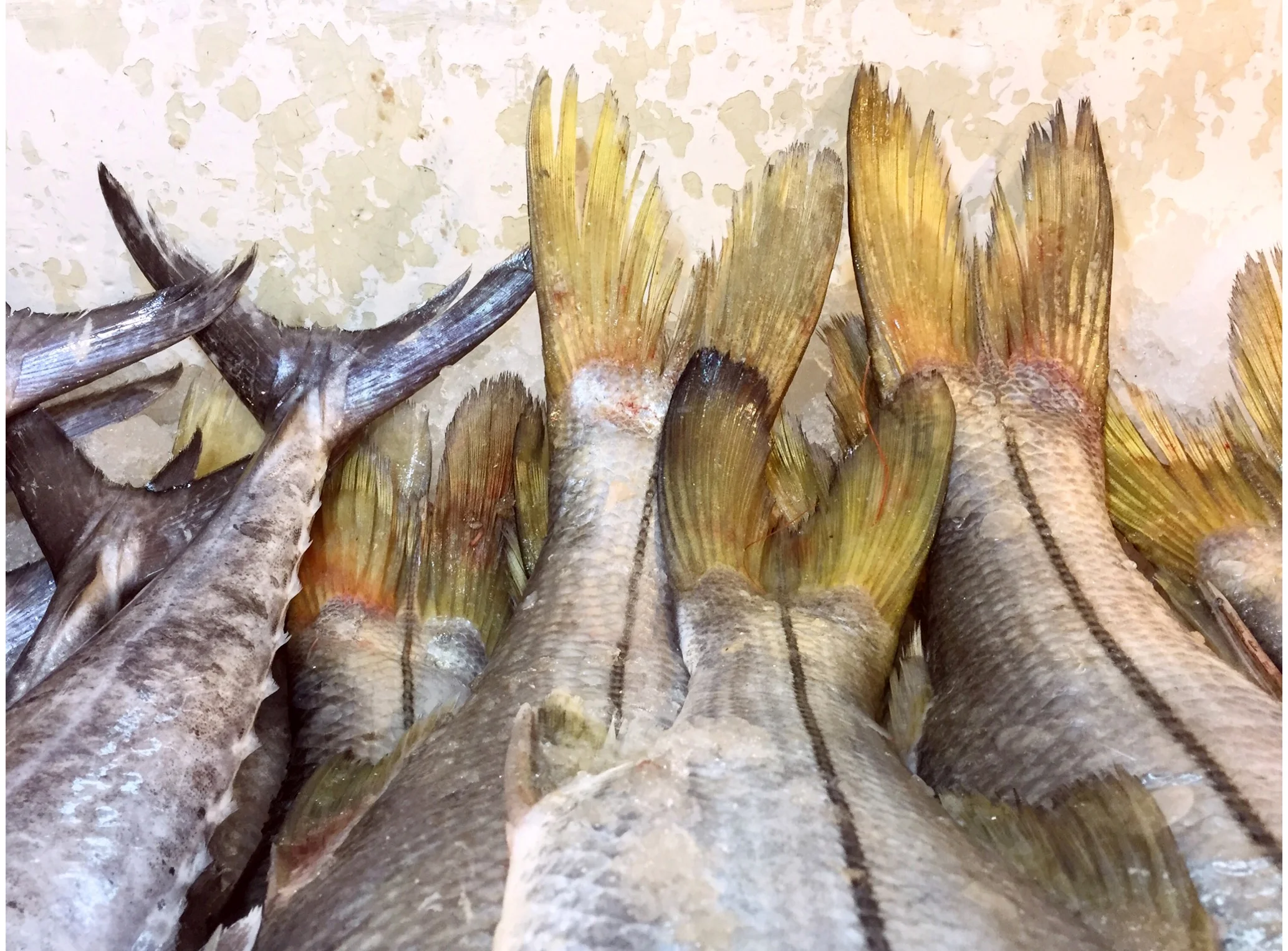 Sarah Elliott Photography Travel Mexico 15.jpg