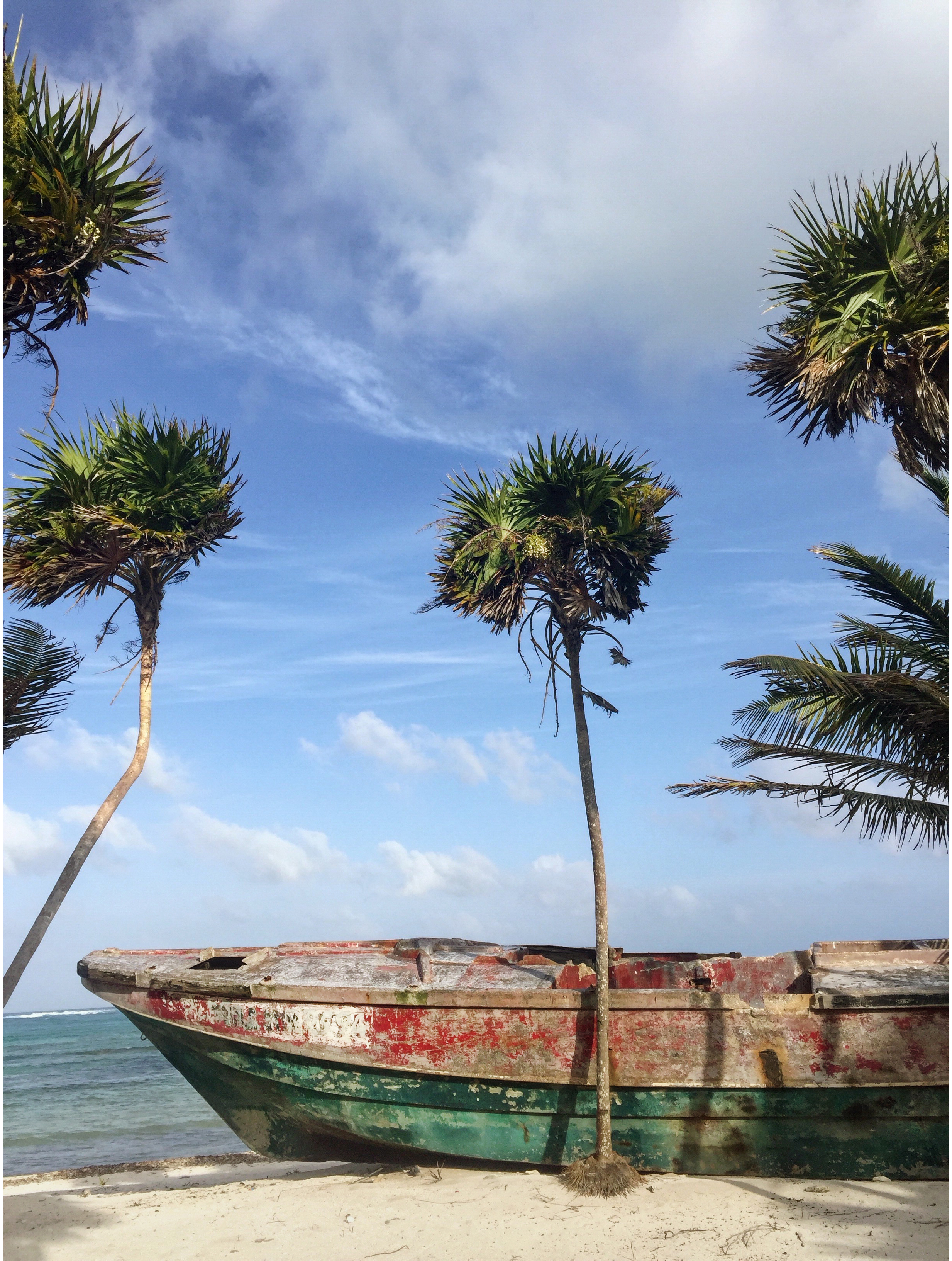 Sarah Elliott Photography Travel Mexico 20.jpg