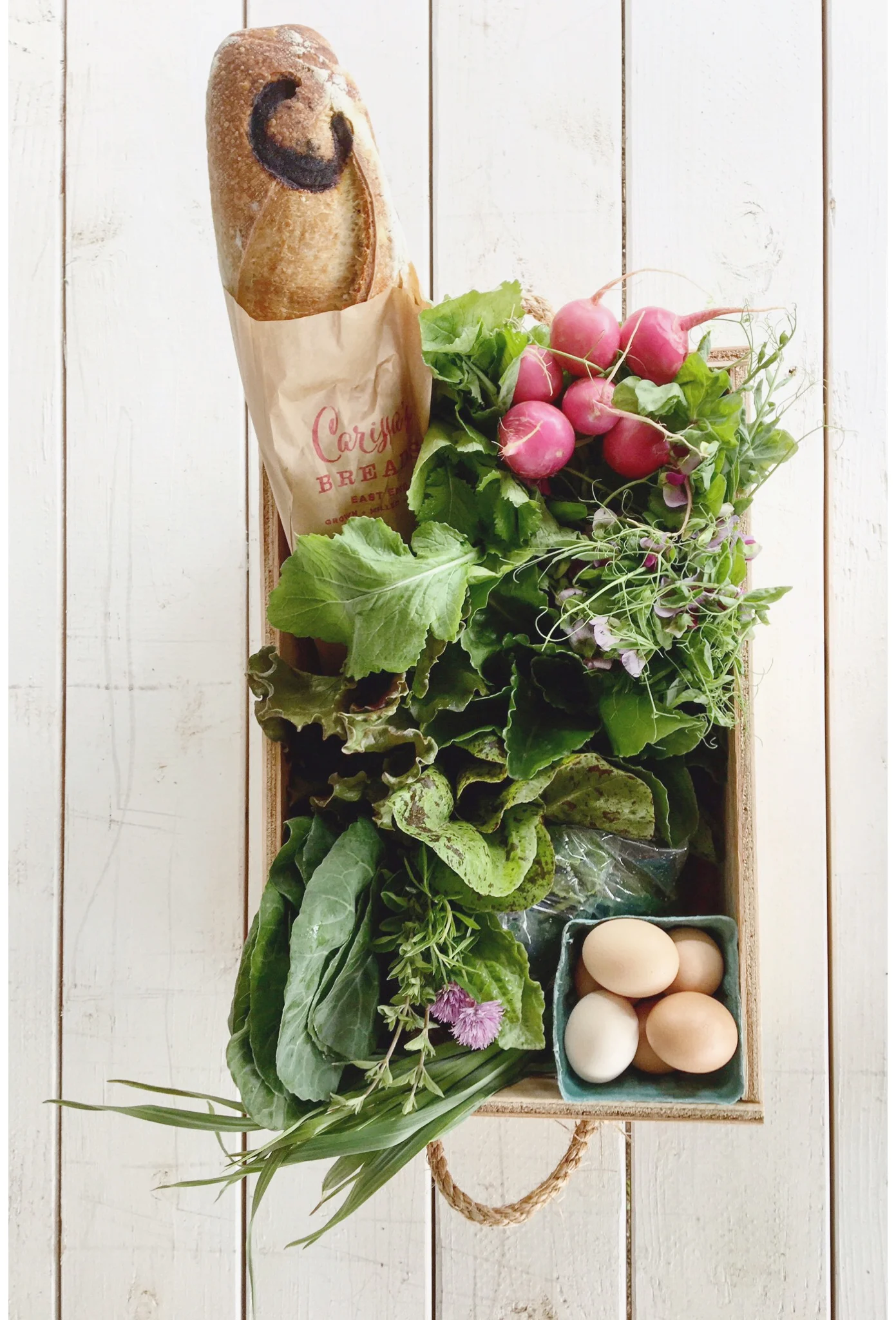 Sarah Elliott Photography Portfolio 34.jpg