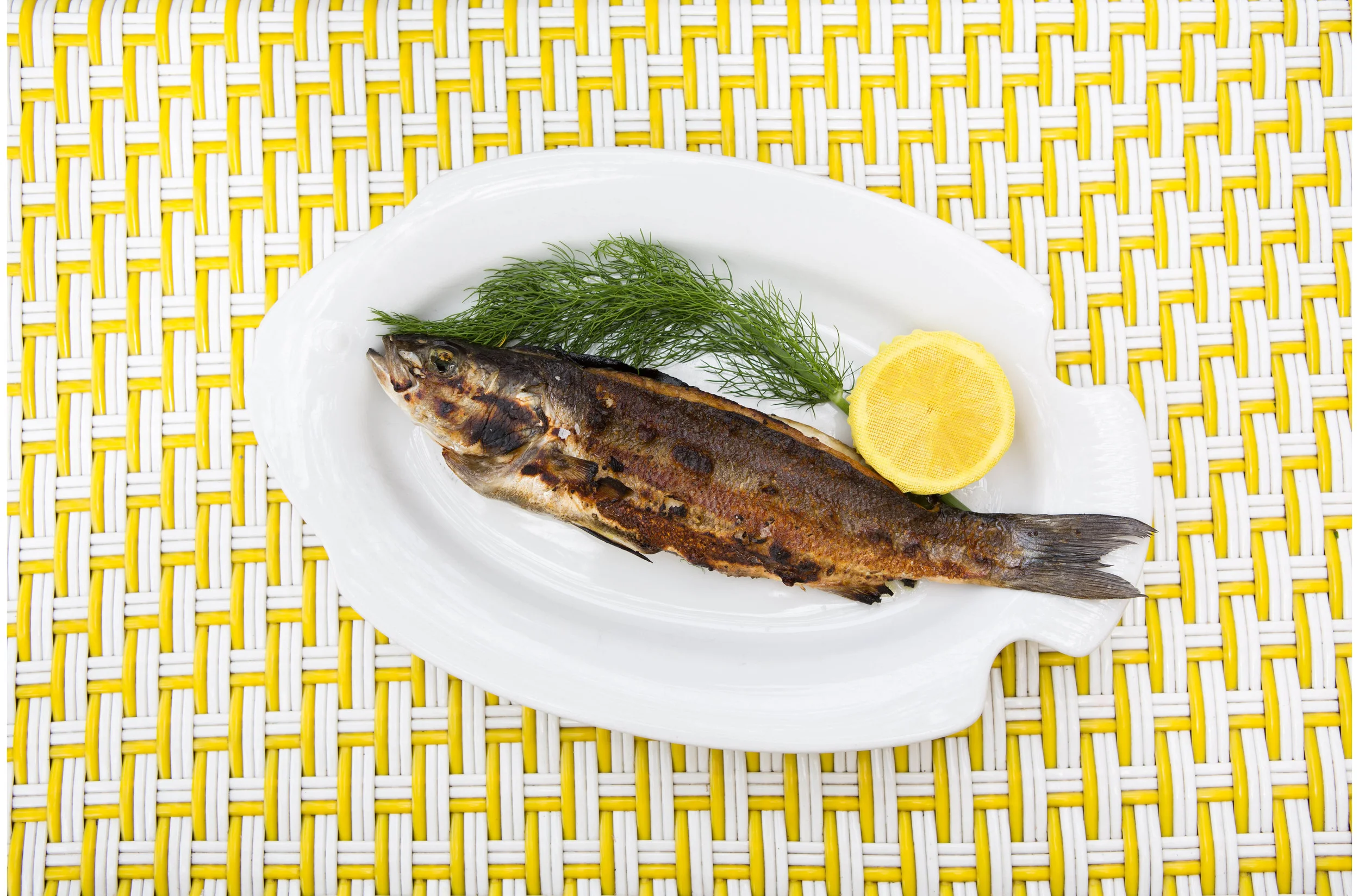 Loeffler Randall Marysia Swim Sarah Elliott Photography 24.jpg