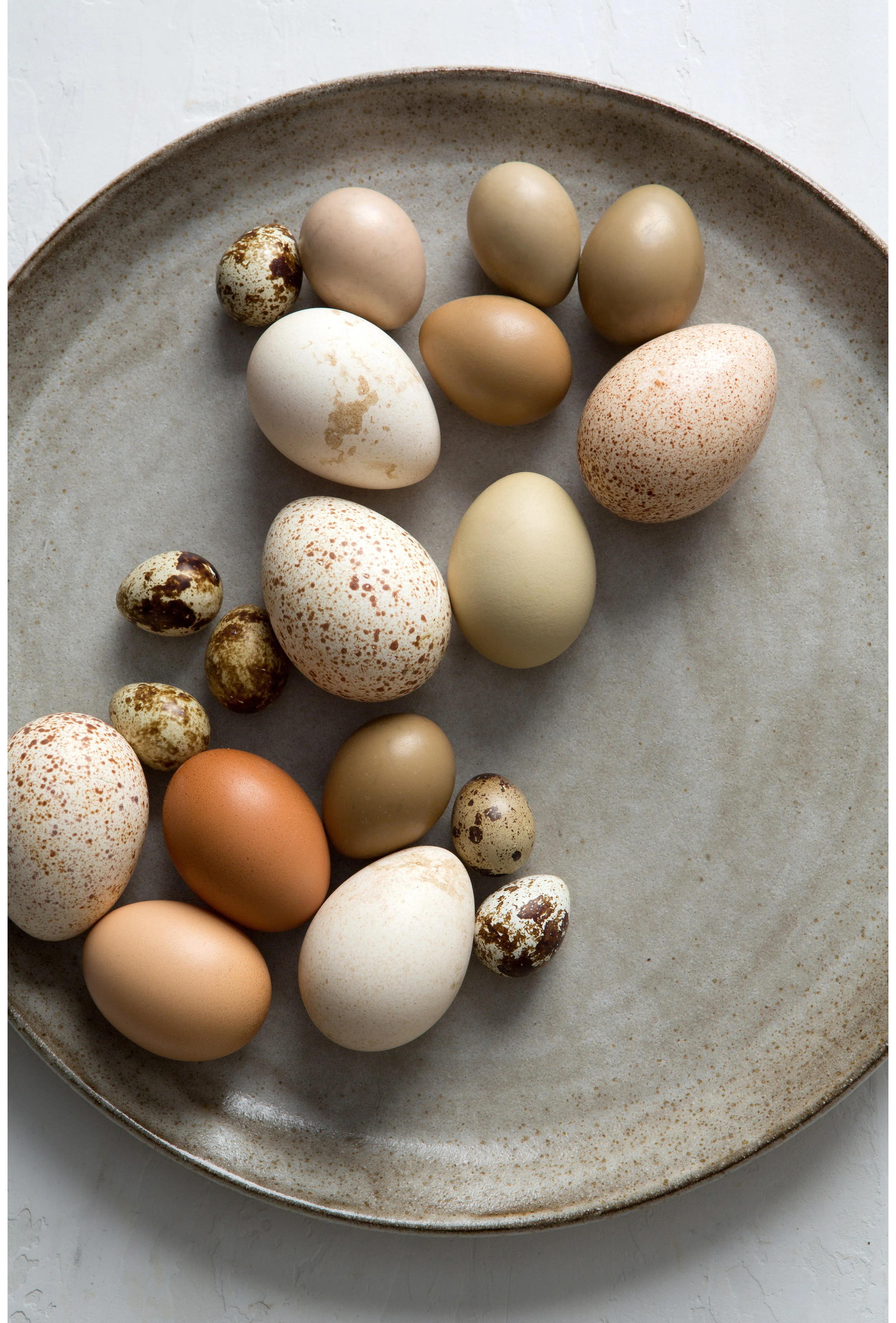 Sarah Elliott Photography Easter Eggs.jpg
