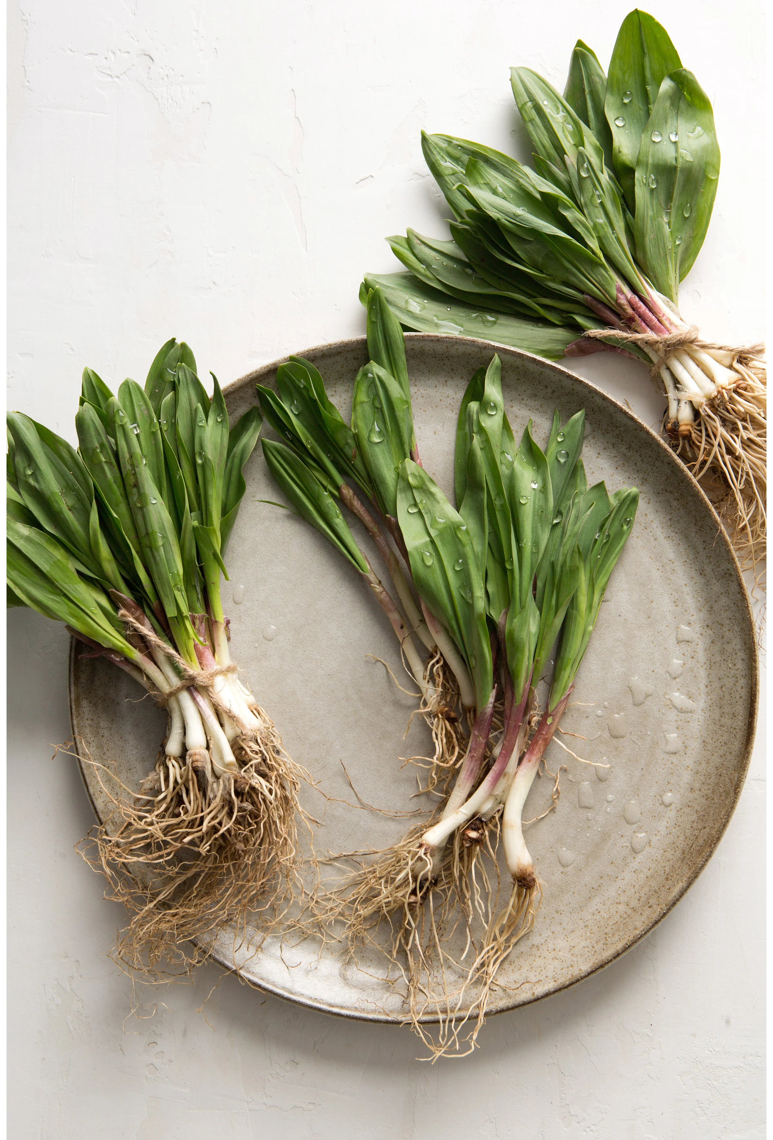 Sarah Elliott Photography Ramps.jpg