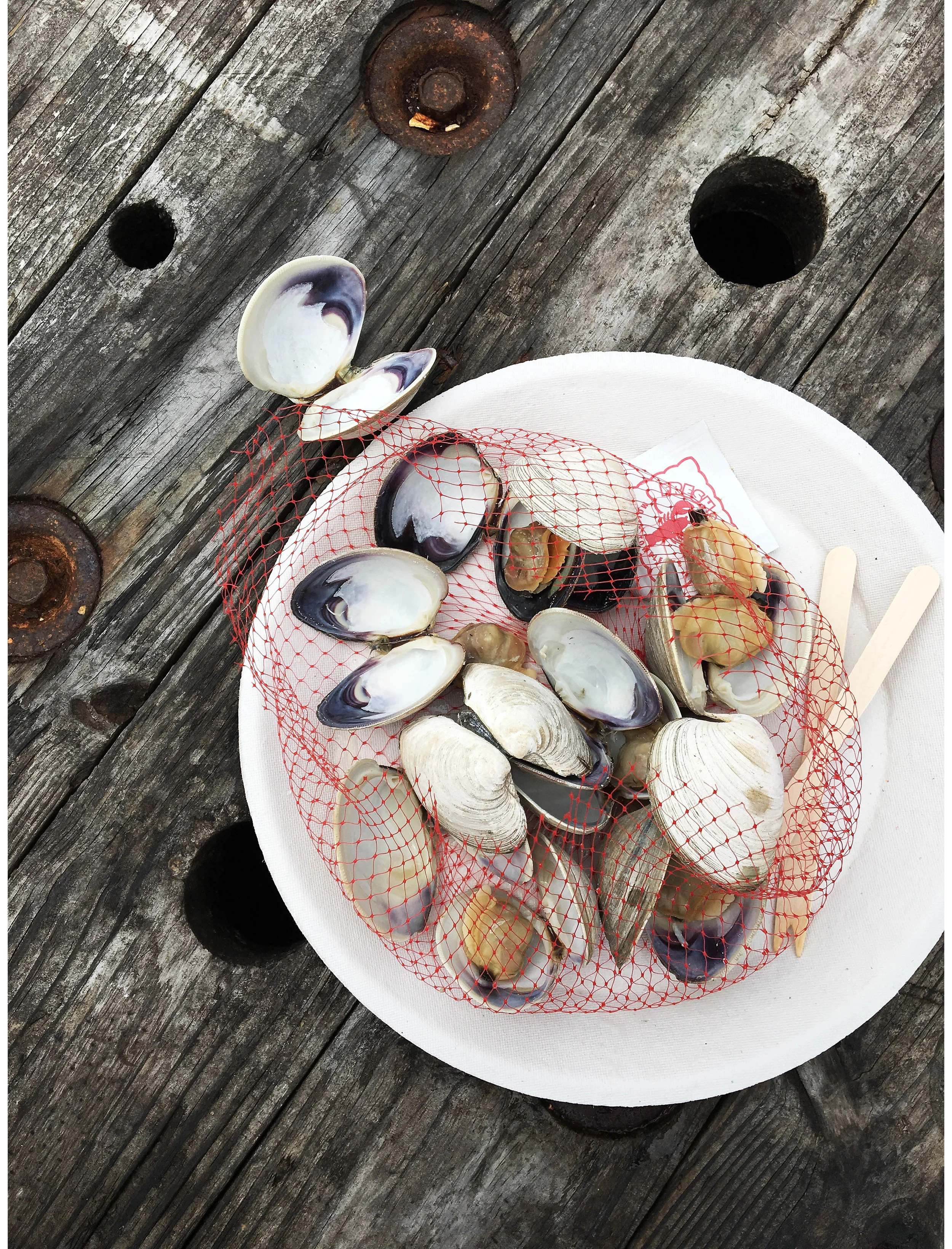 Sarah Elliott Photography Travel Nantucket 010.jpg