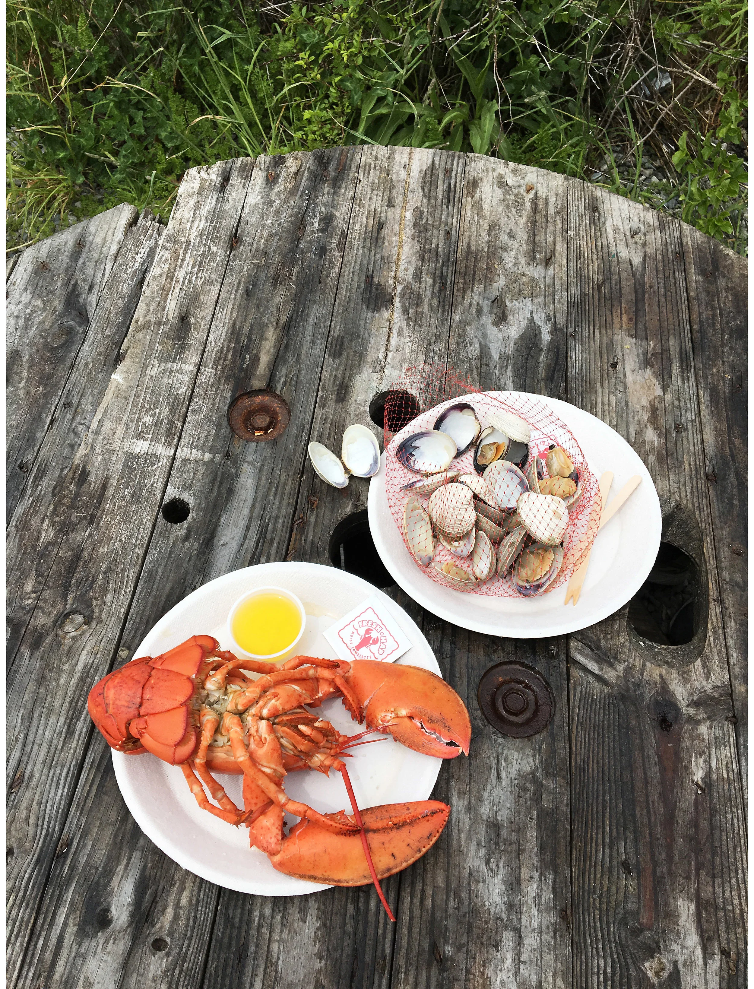 Sarah Elliott Photography Travel Nantucket 09.jpg