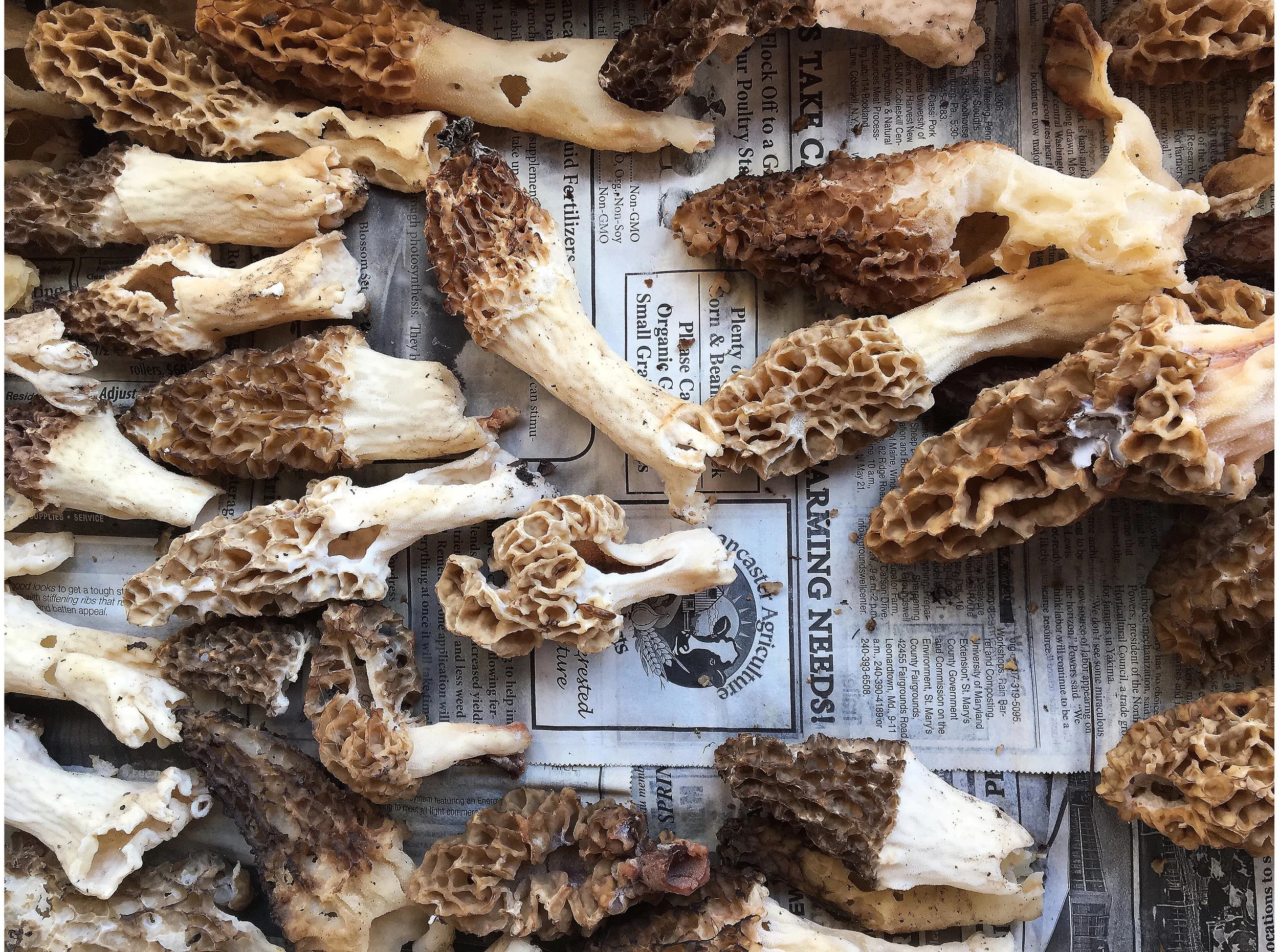 Sarah Elliott Photography Travel Nantucket 013.jpg