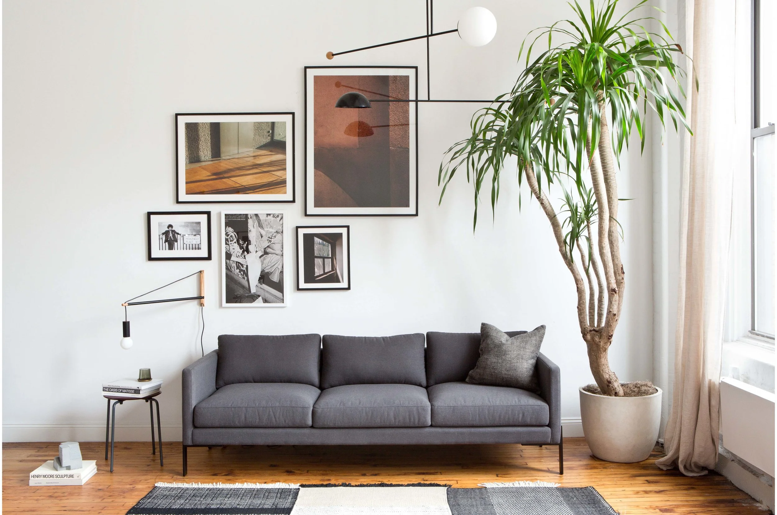 Sarah Elliott Photography TRNK 4.jpg