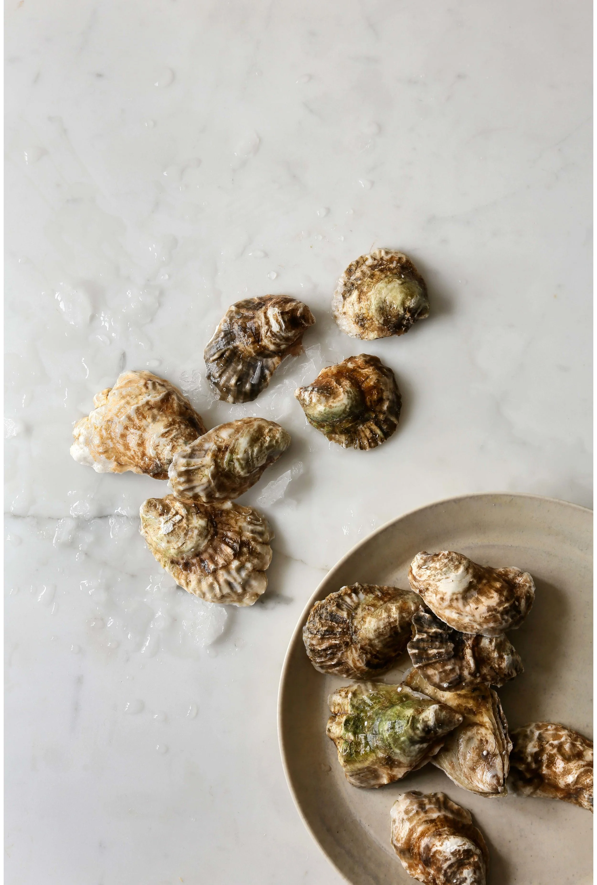 Sarah Elliott Photography Food Oysters.jpg